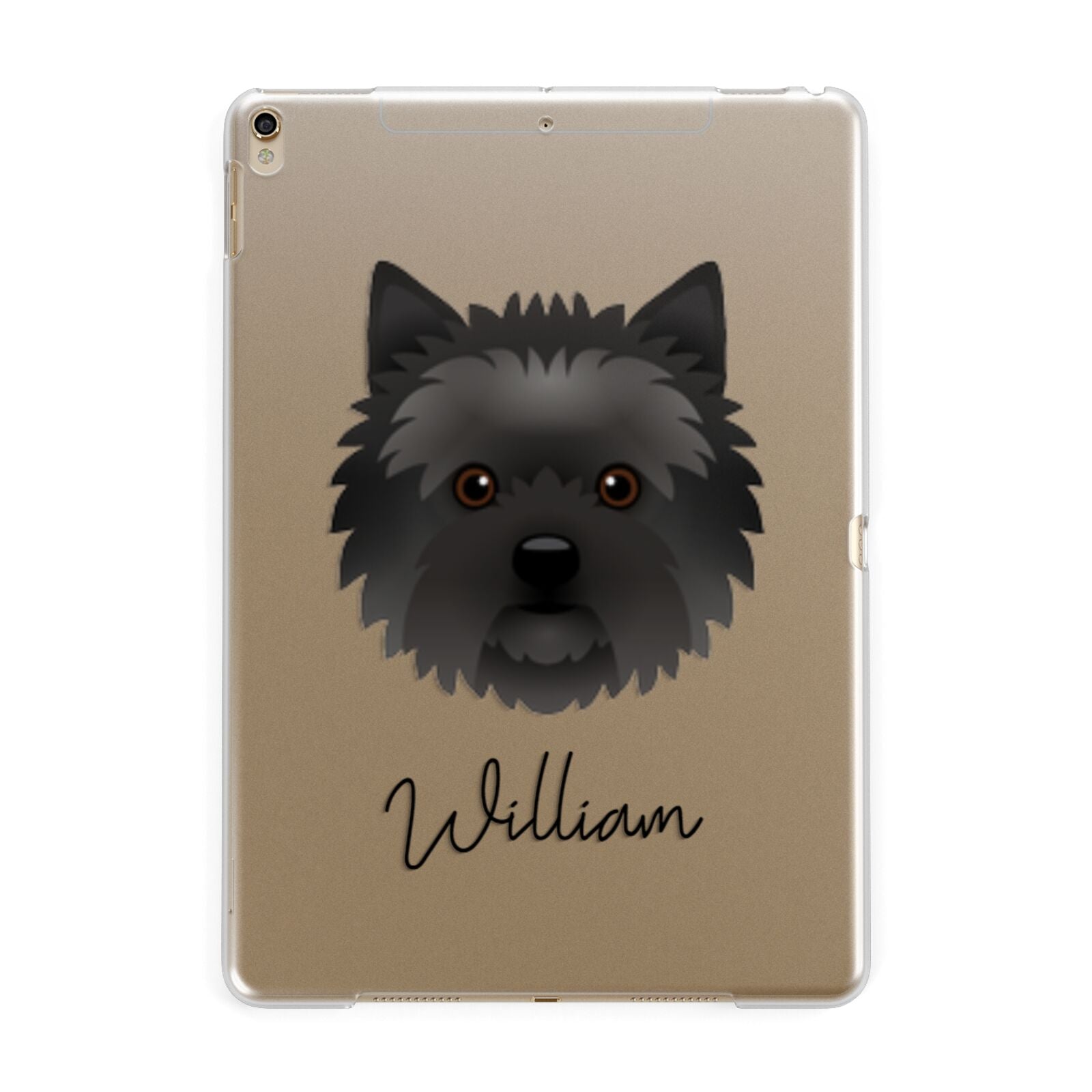 Cairn Terrier Personalised iPad Case