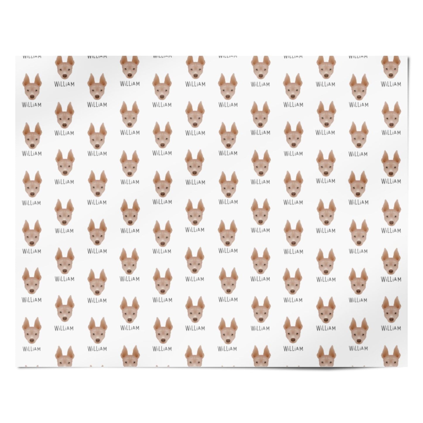 American Hairless Terrier Icon with Name Personalised Wrapping Paper Alternative