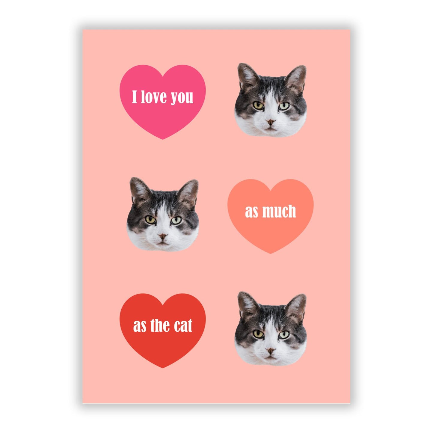 I Love You As Much As The Cat A5 Flat Greetings Card