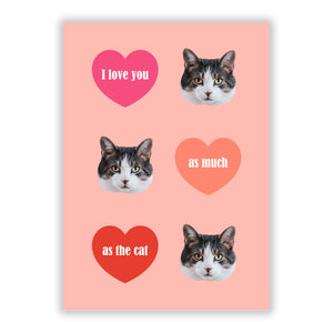 I Love You As Much As The Cat Greetings Card