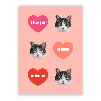 I Love You As Much As The Cat A5 Flat Greetings Card