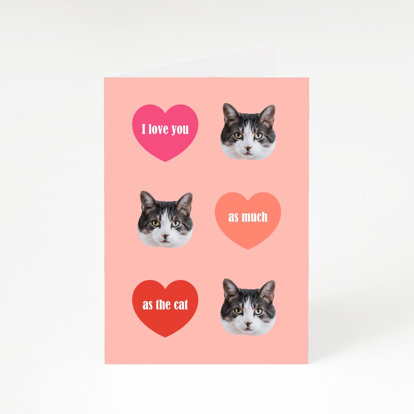 I Love You As Much As The Cat A5 Greetings Card