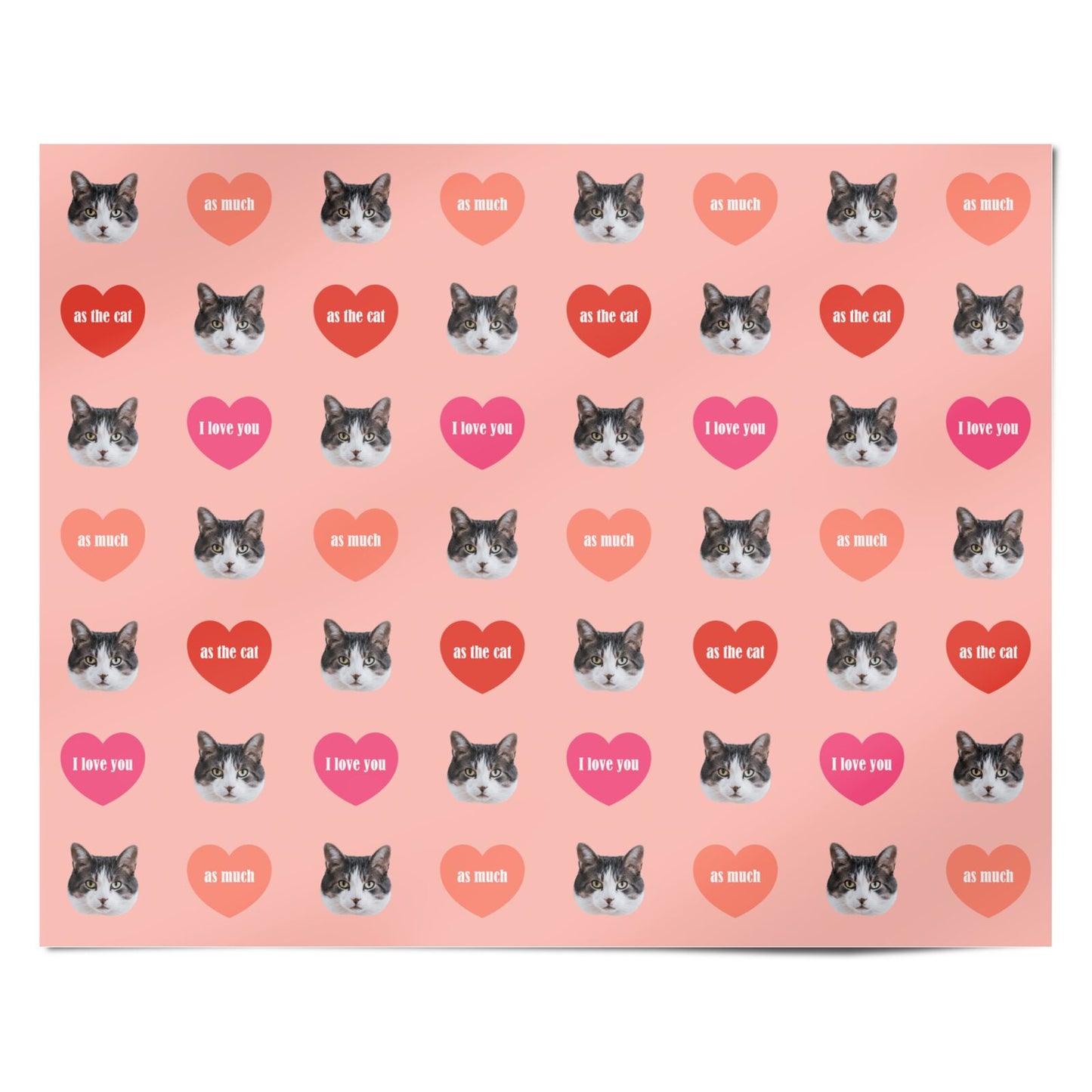 I Love You As Much As The Cat Personalised Wrapping Paper Alternative