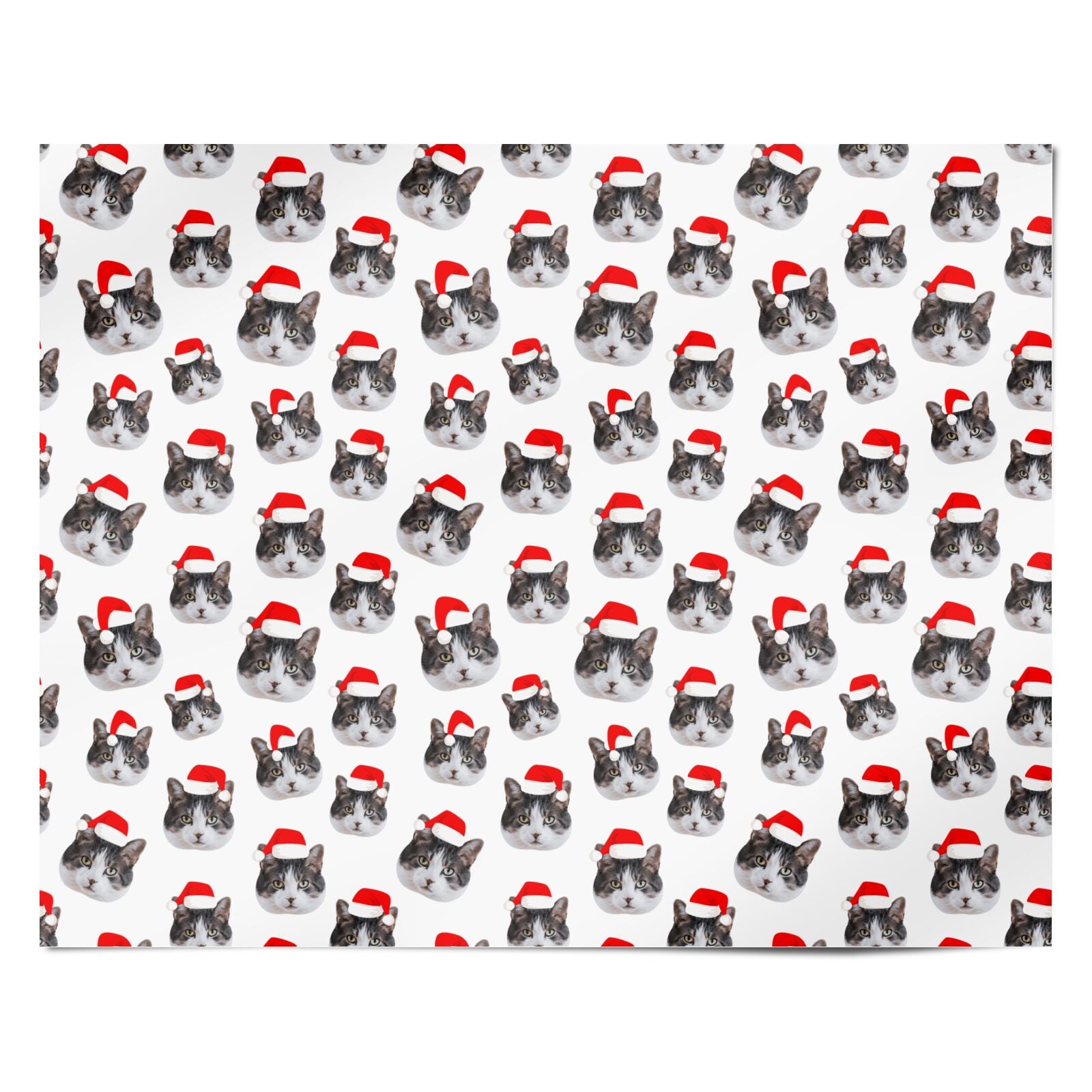 Personalised Cat Santa Hat Personalised Wrapping Paper Alternative