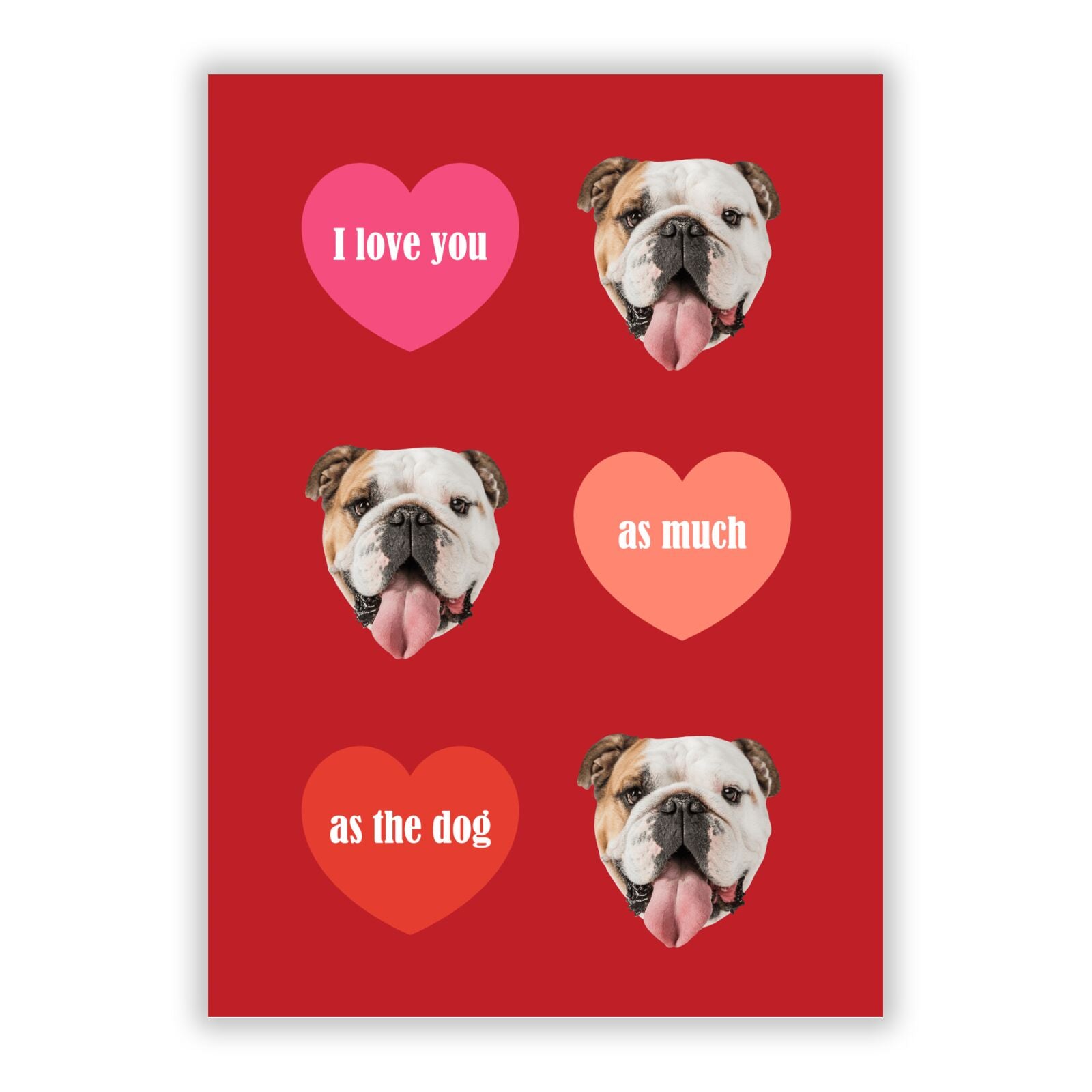 Personalised Dog Photo Valentines A5 Flat Greetings Card