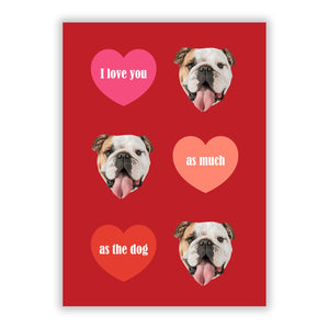 Personalised Dog Photo Valentines Greetings Card