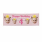 Princess Birthday Photo Face 6x2 Vinly Banner with Grommets