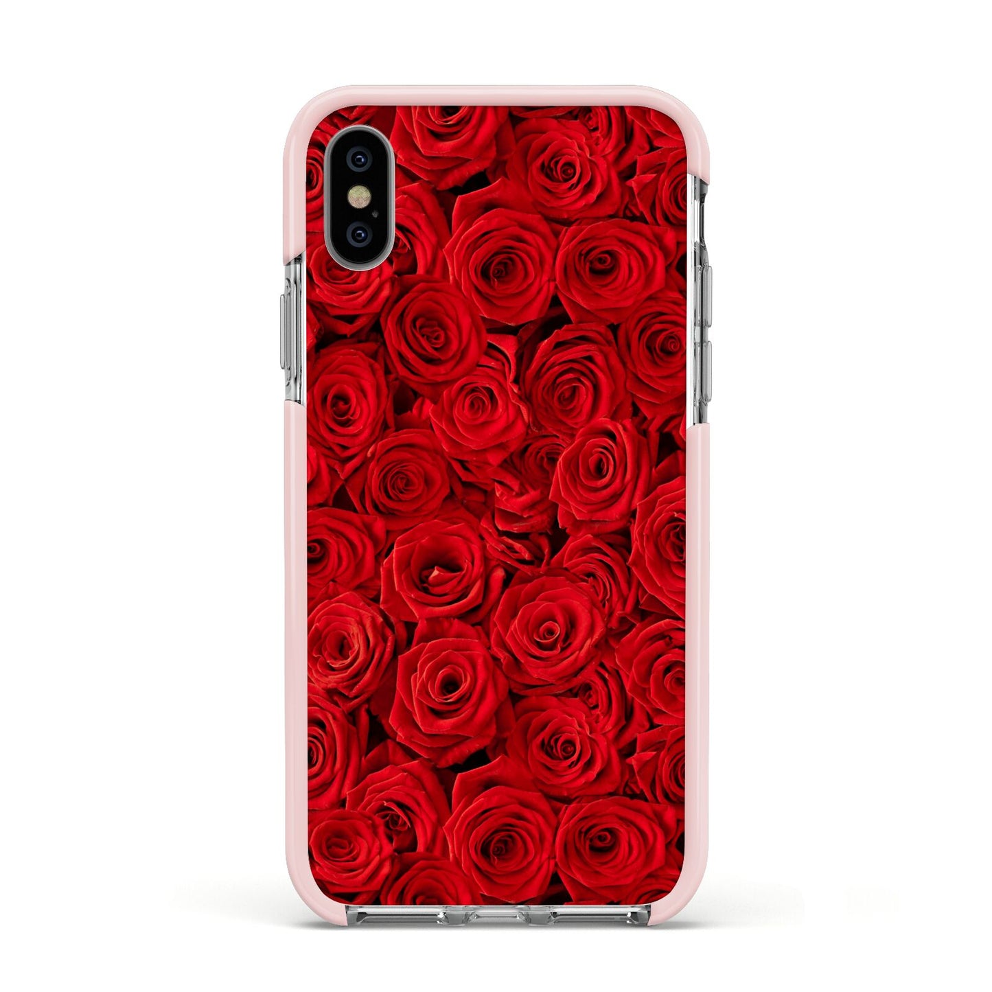 Red Rose Apple iPhone Xs Impact Case Pink Edge on Silver Phone