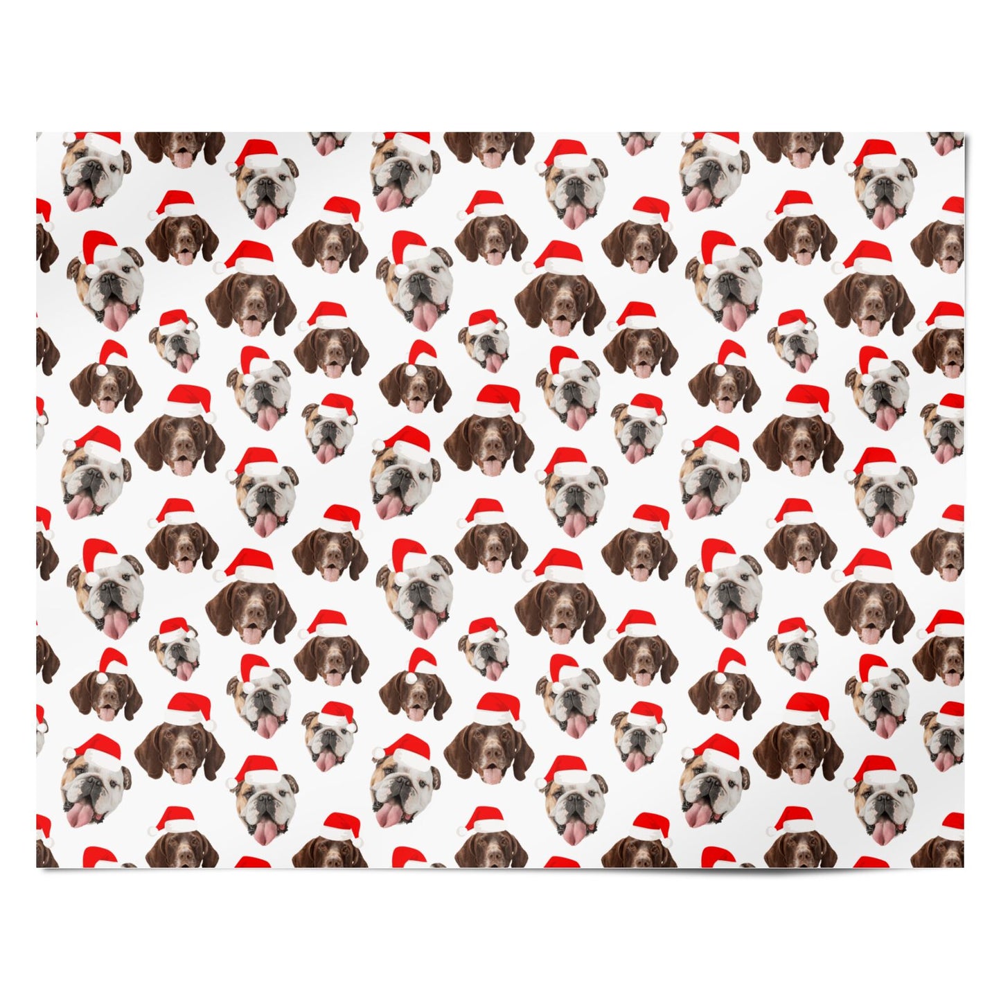 Two Dogs Personalised Christmas Photo Personalised Wrapping Paper Alternative