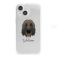 Afghan Hound Personalised iPhone 13 Mini Clear Bumper Case