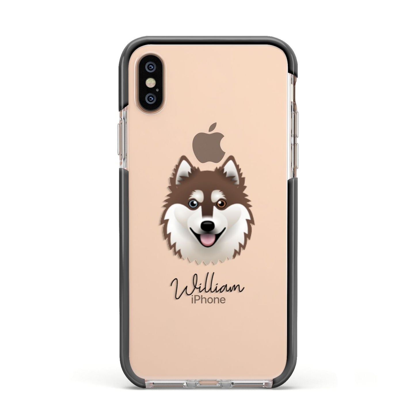 Alaskan Klee Kai Personalised Apple iPhone Xs Impact Case Black Edge on Gold Phone