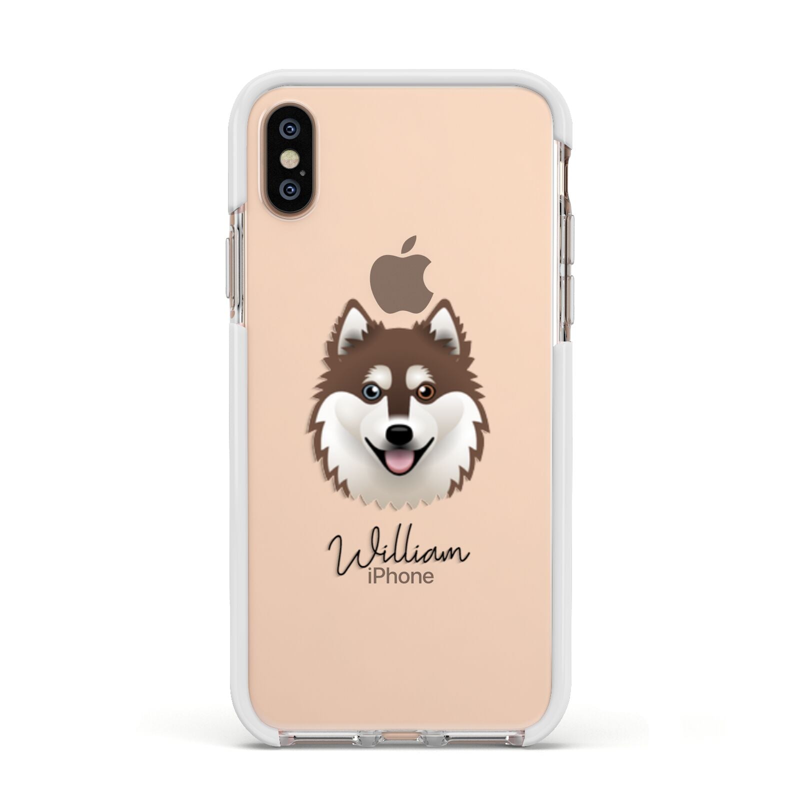 Alaskan Klee Kai Personalised Apple iPhone Xs Impact Case White Edge on Gold Phone