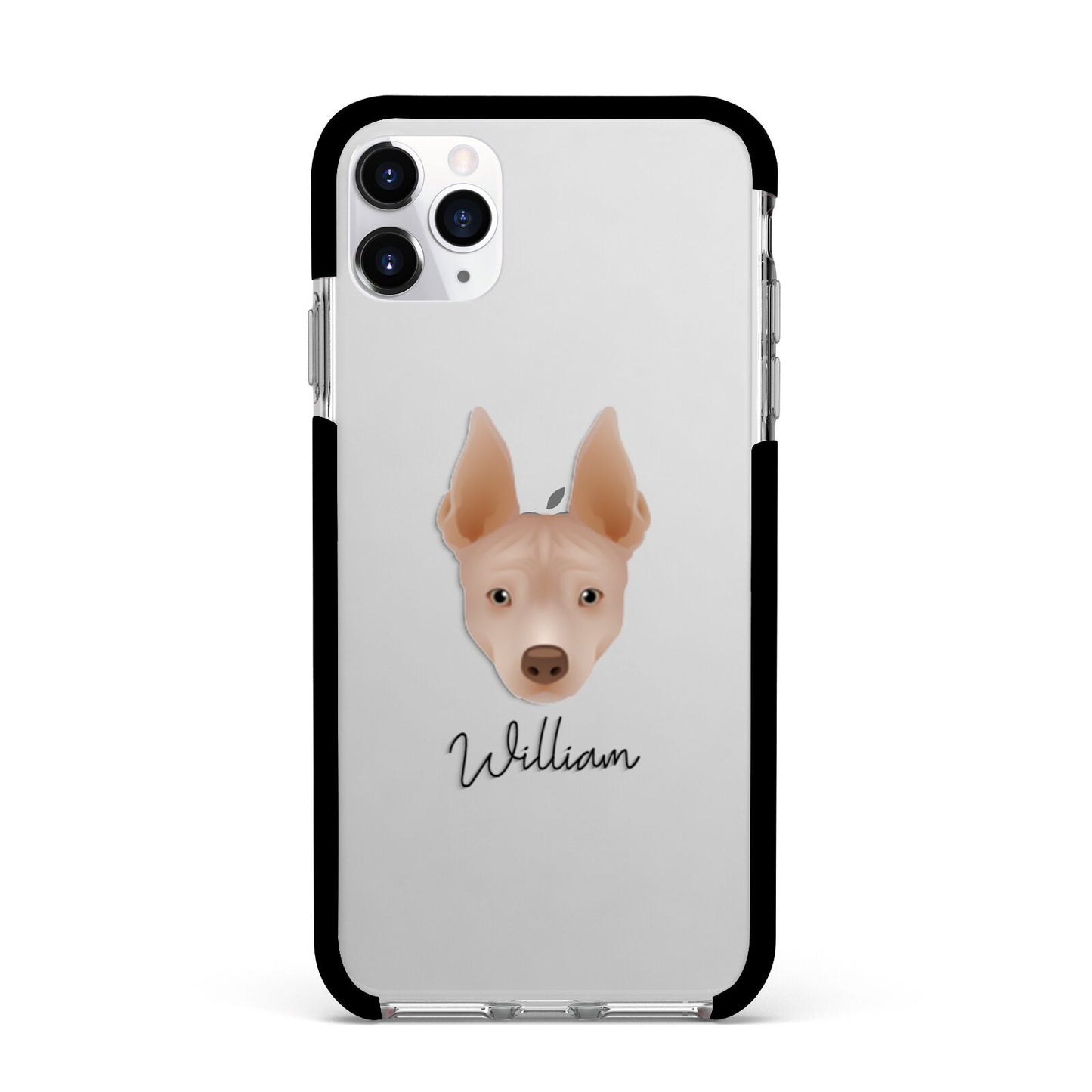 American Hairless Terrier Personalised Apple iPhone 11 Pro Max in Silver with Black Impact Case