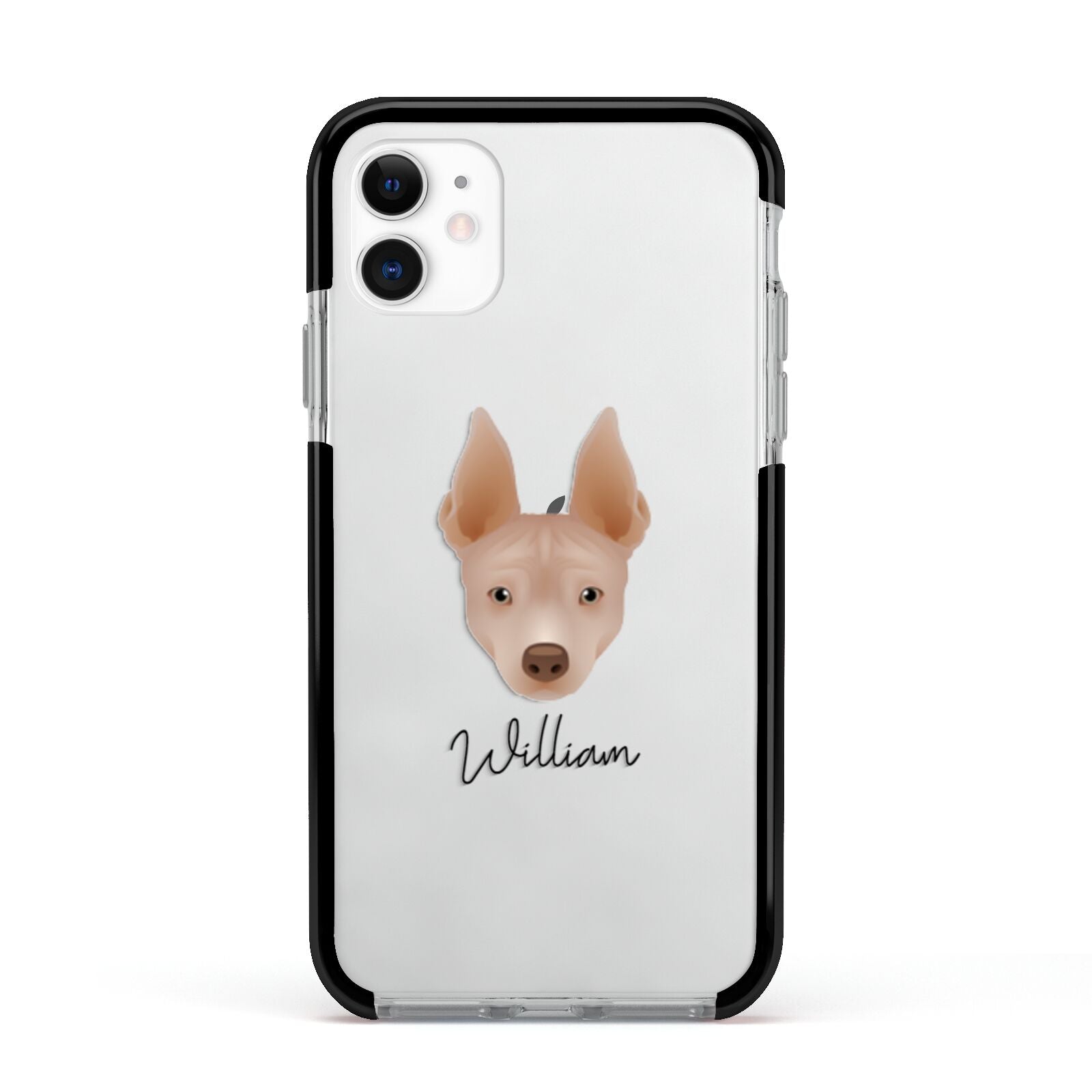 American Hairless Terrier Personalised Apple iPhone 11 in White with Black Impact Case