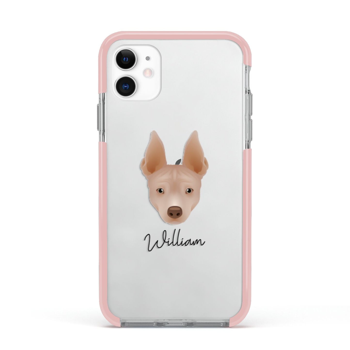 American Hairless Terrier Personalised Apple iPhone 11 in White with Pink Impact Case