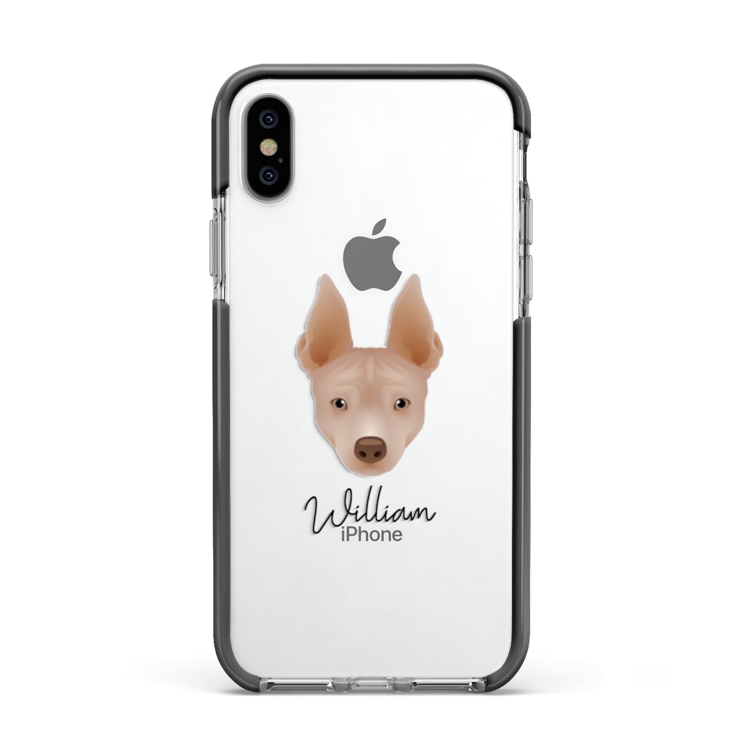 American Hairless Terrier Personalised Apple iPhone Xs Impact Case Black Edge on Silver Phone