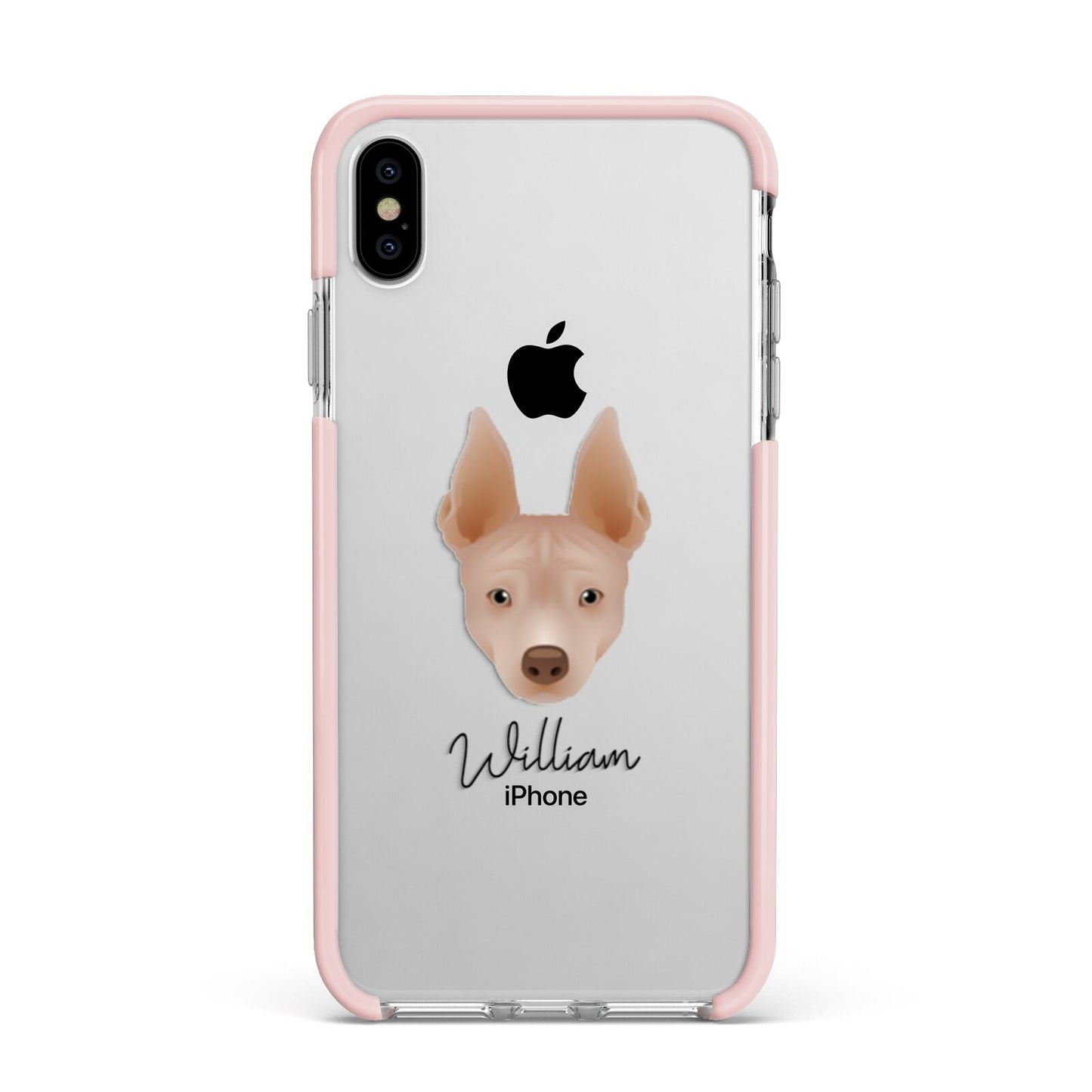 American Hairless Terrier Personalised Apple iPhone Xs Max Impact Case Pink Edge on Silver Phone