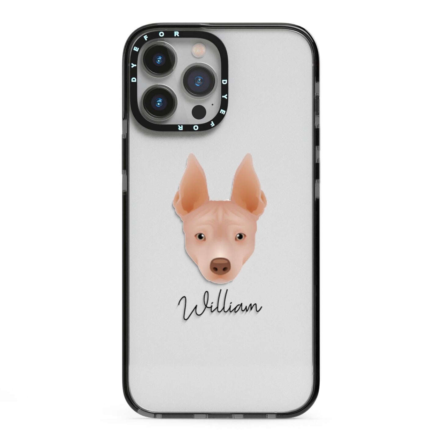 American Hairless Terrier Personalised iPhone 13 Pro Max Black Impact Case on Silver phone