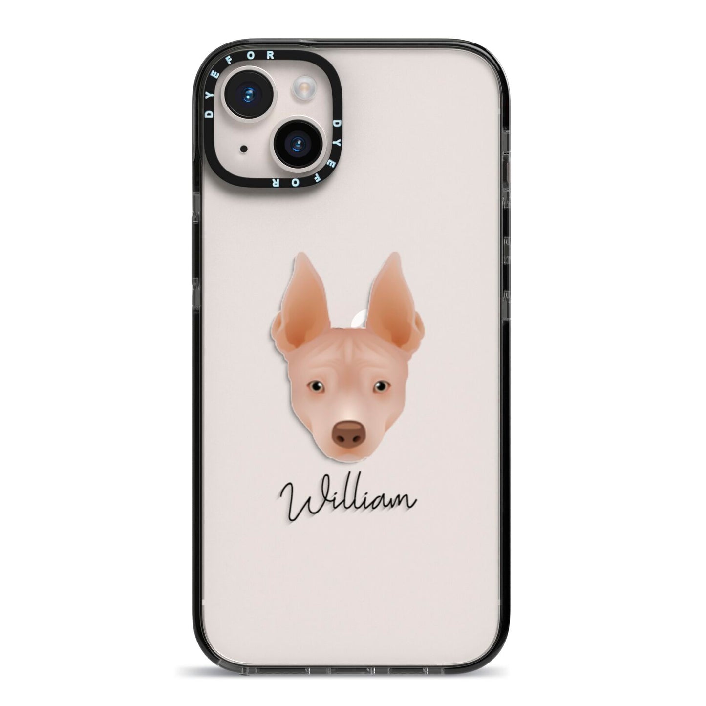 American Hairless Terrier Personalised iPhone 14 Plus Black Impact Case on Silver phone