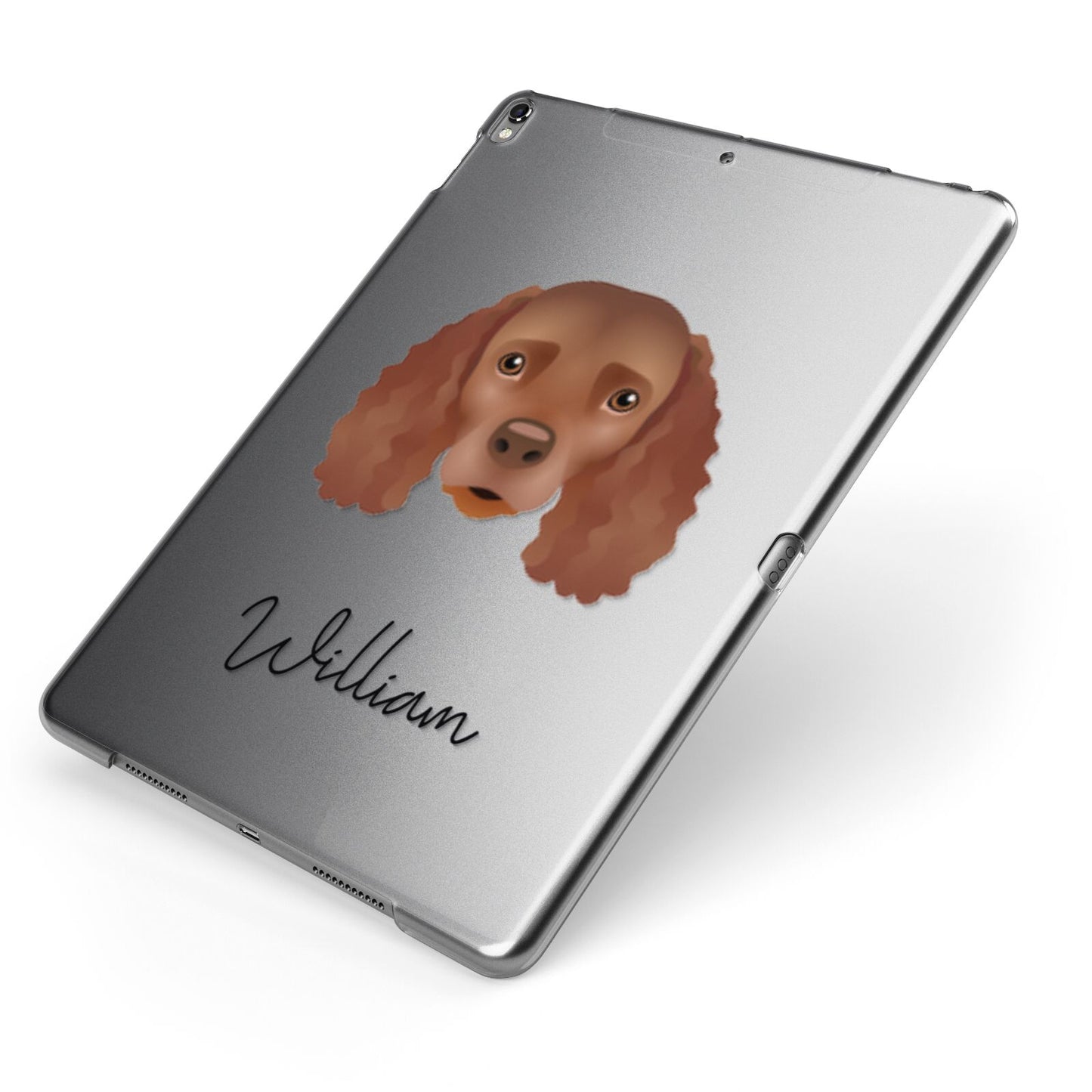 American Water Spaniel Personalised Apple iPad Case on Grey iPad Side View