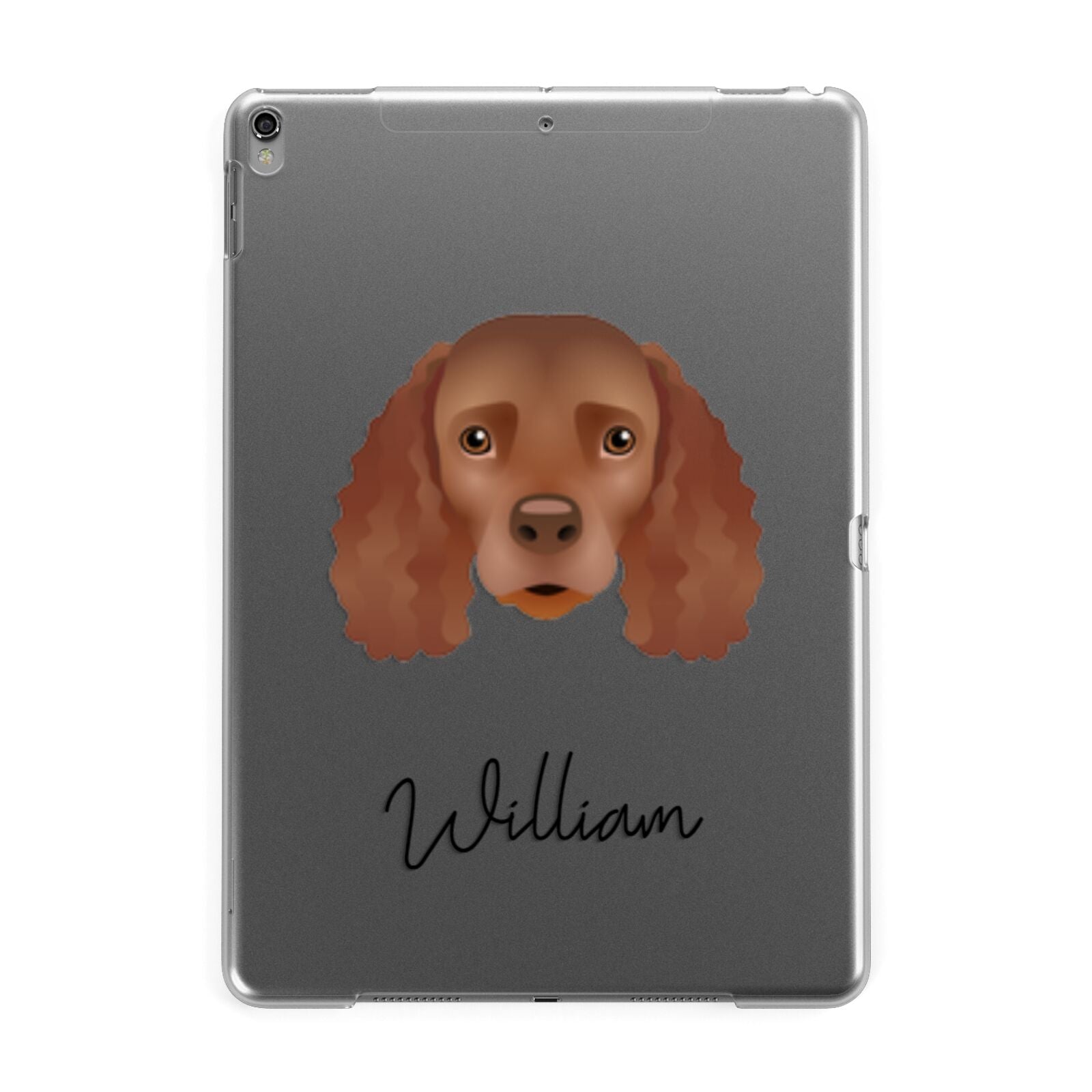 American Water Spaniel Personalised Apple iPad Grey Case