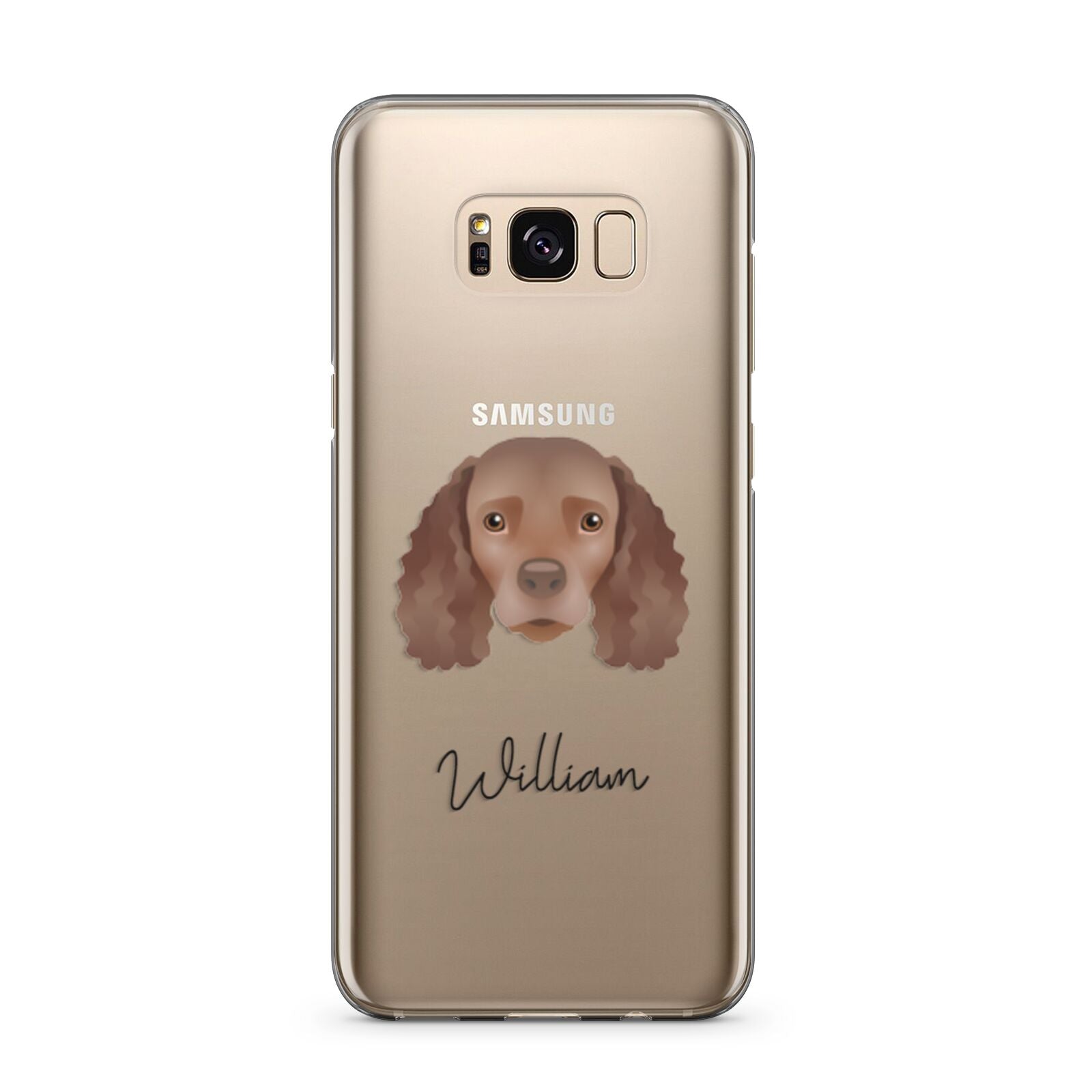 American Water Spaniel Personalised Samsung Galaxy S8 Plus Case