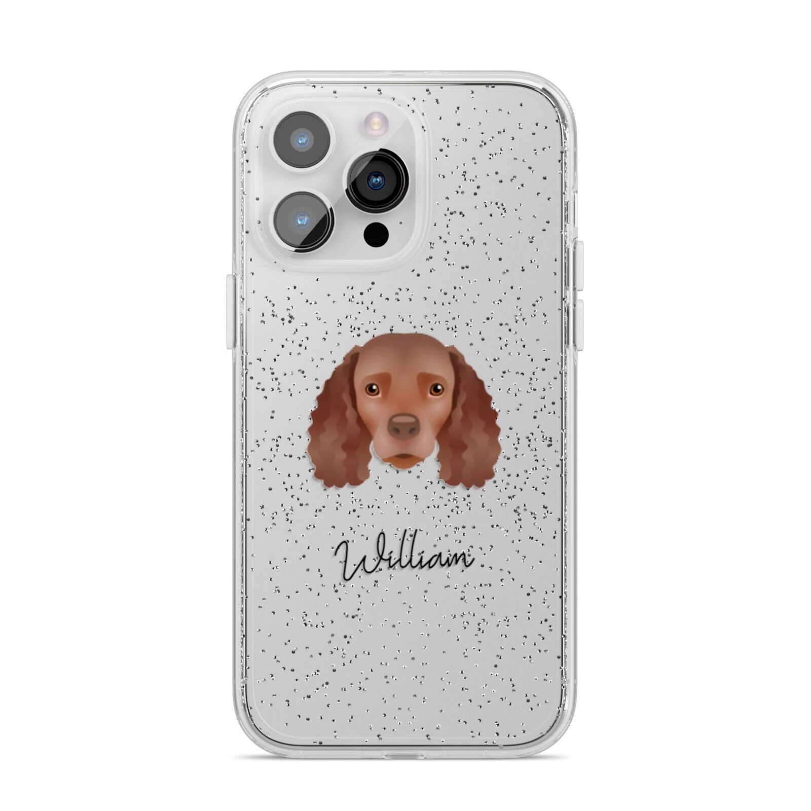 American Water Spaniel Personalised iPhone 14 Pro Max Glitter Tough Case Silver