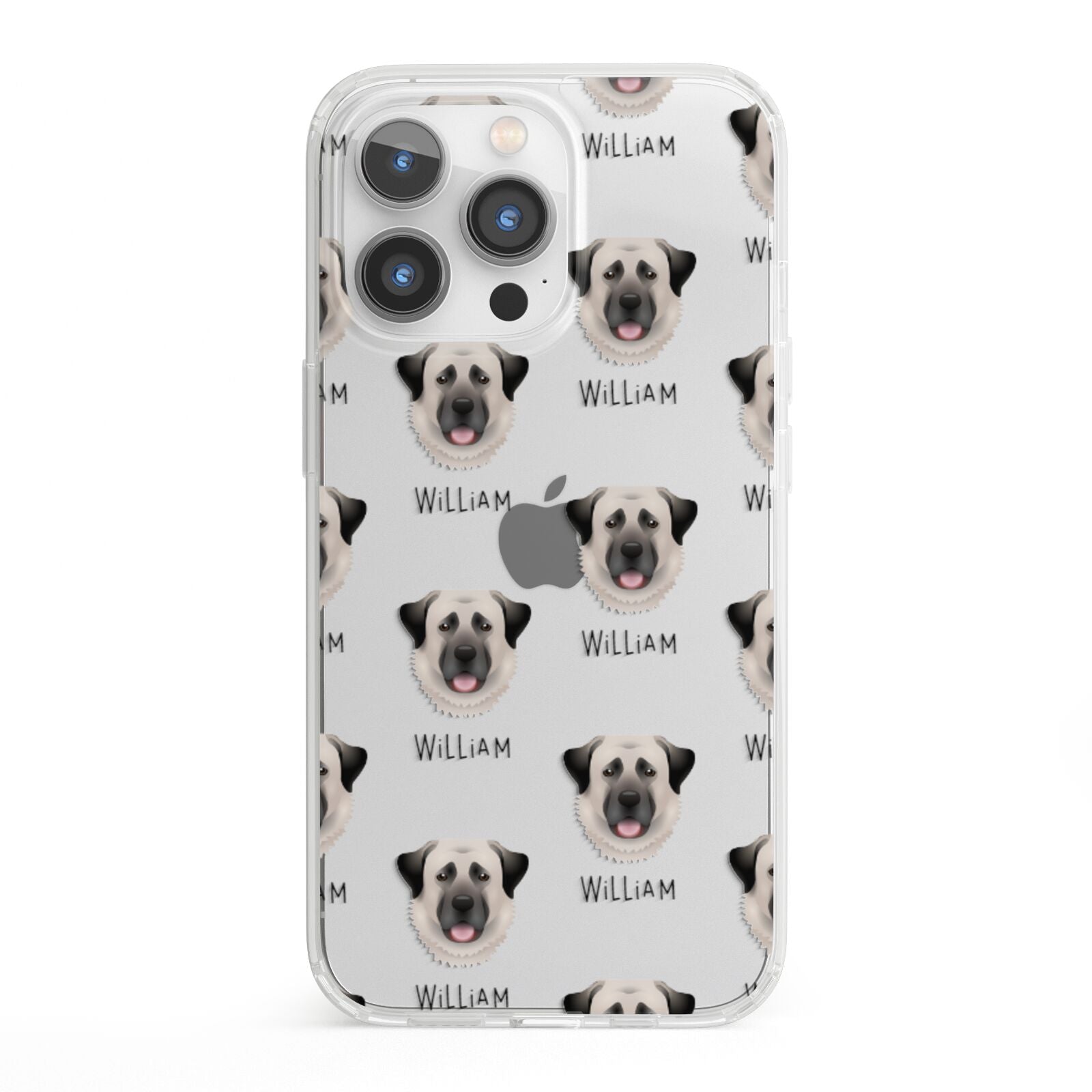 Anatolian Shepherd Dog Icon with Name iPhone 13 Pro Clear Bumper Case