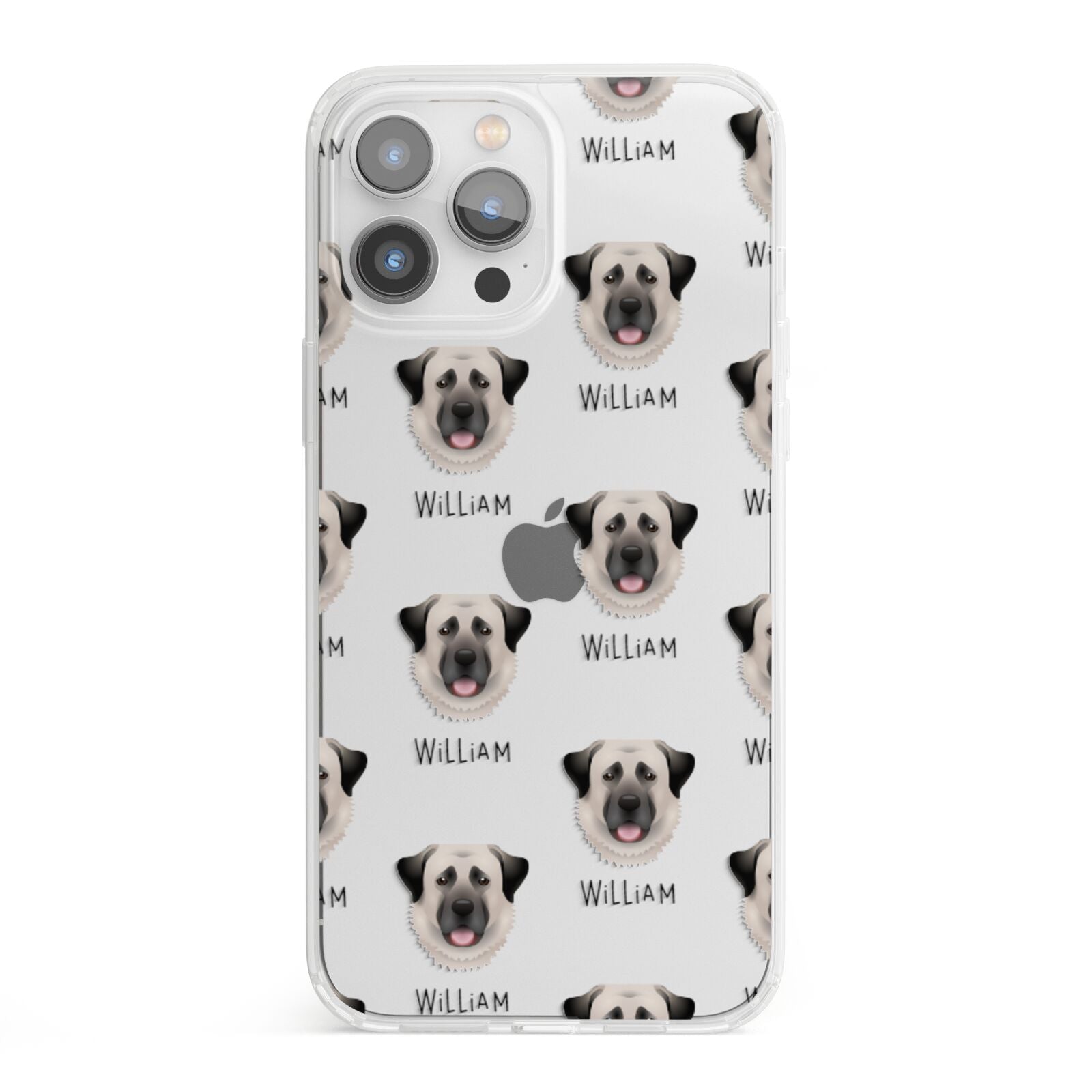 Anatolian Shepherd Dog Icon with Name iPhone 13 Pro Max Clear Bumper Case