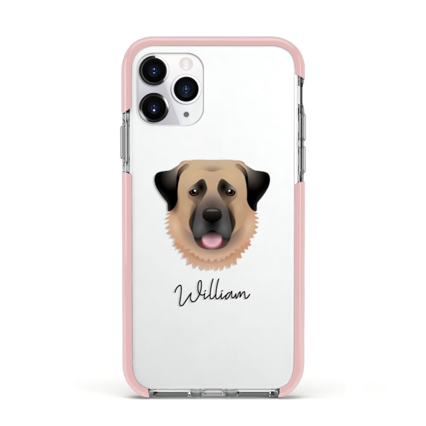 Anatolian Shepherd Dog Personalised Apple iPhone 11 Pro in Silver with Pink Impact Case