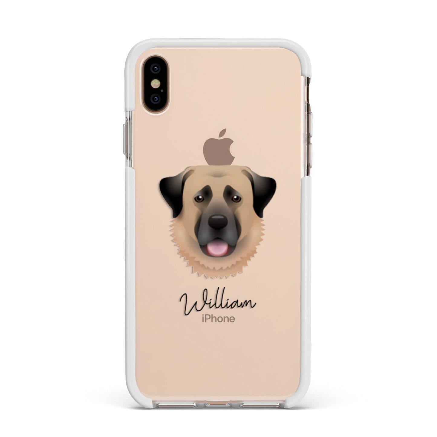 Anatolian Shepherd Dog Personalised Apple iPhone Xs Max Impact Case White Edge on Gold Phone