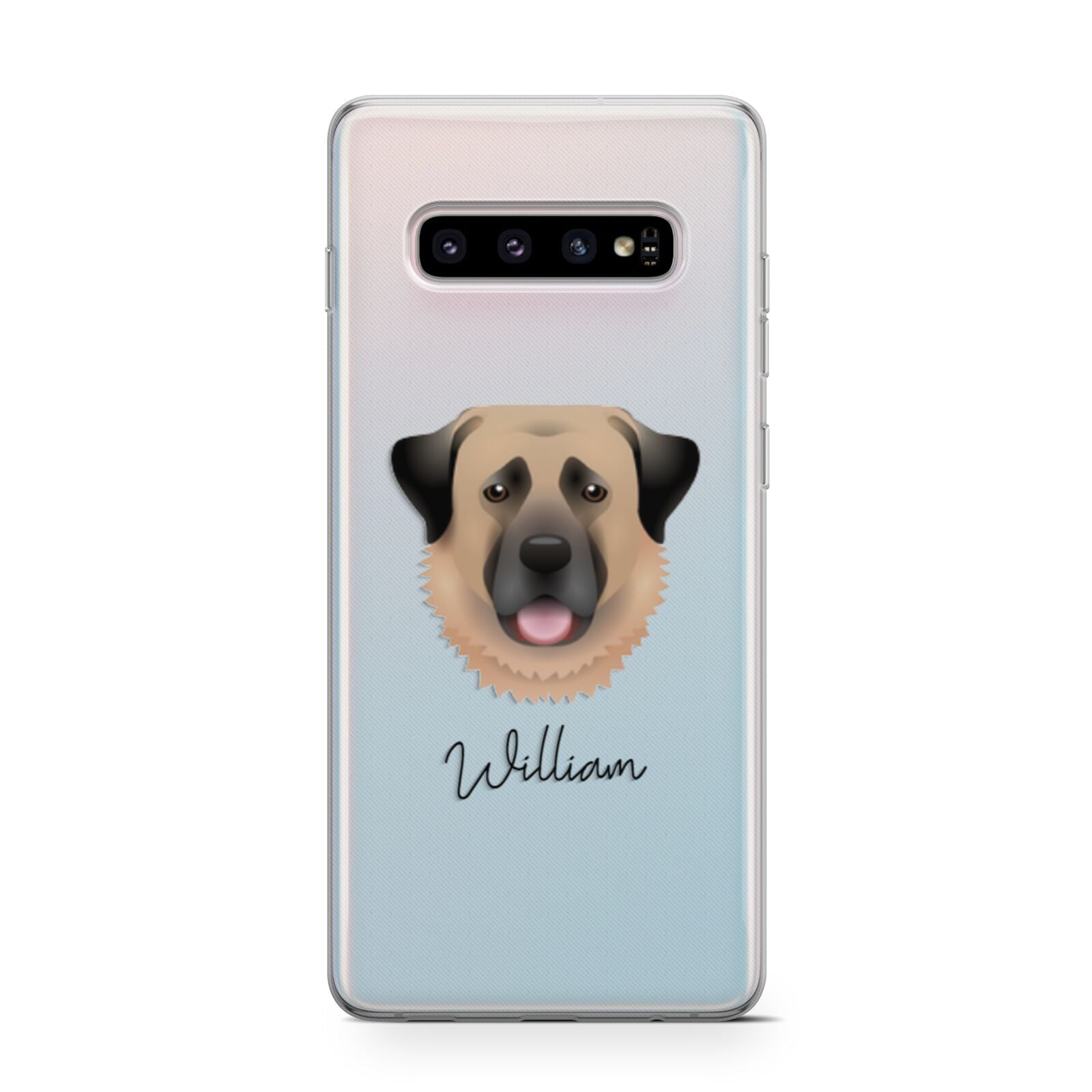 Anatolian Shepherd Dog Personalised Samsung Galaxy S10 Case