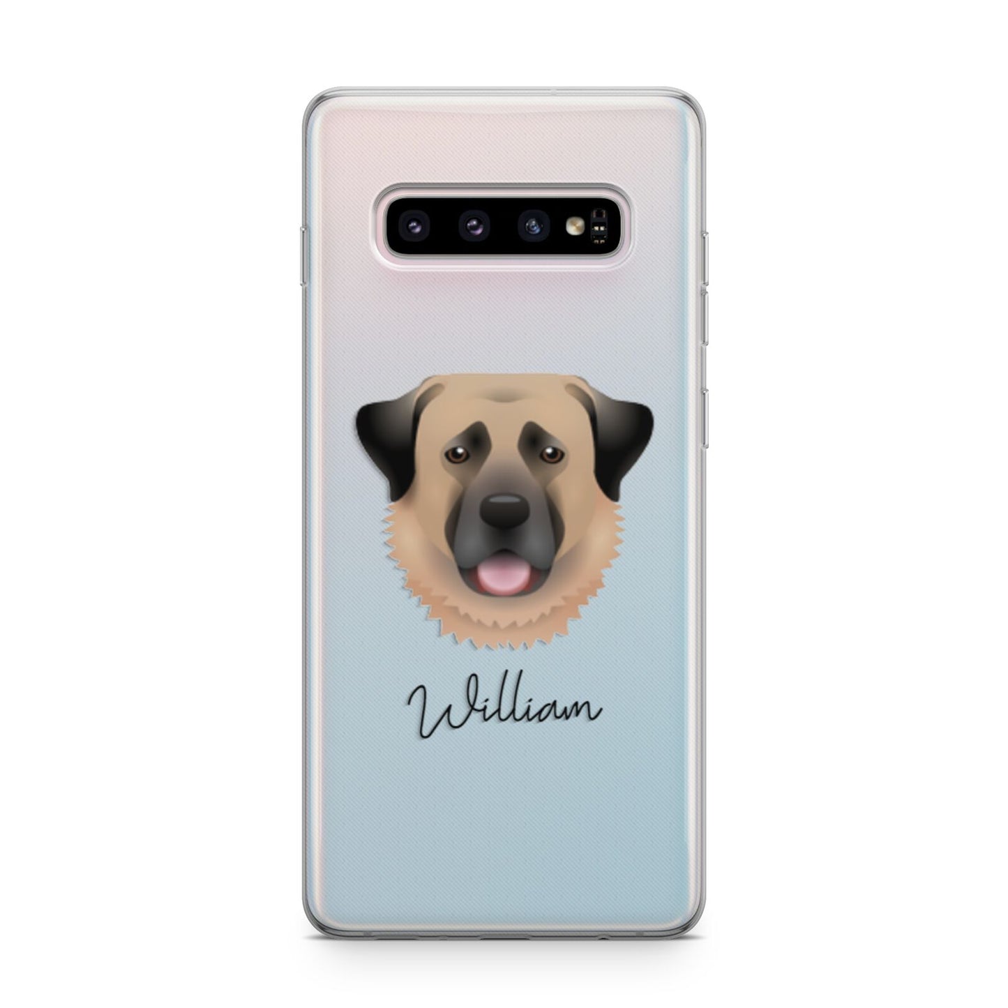 Anatolian Shepherd Dog Personalised Samsung Galaxy S10 Plus Case