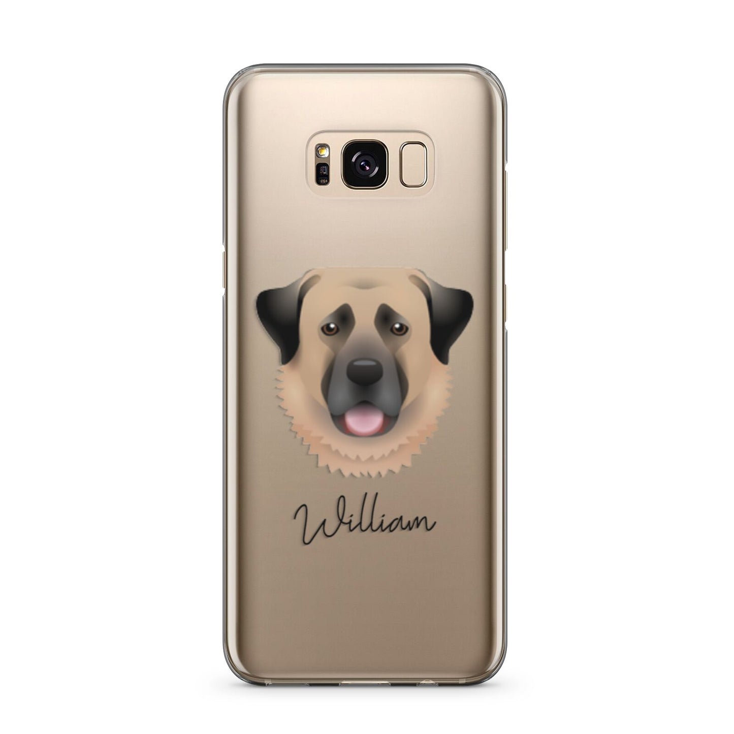 Anatolian Shepherd Dog Personalised Samsung Galaxy S8 Plus Case