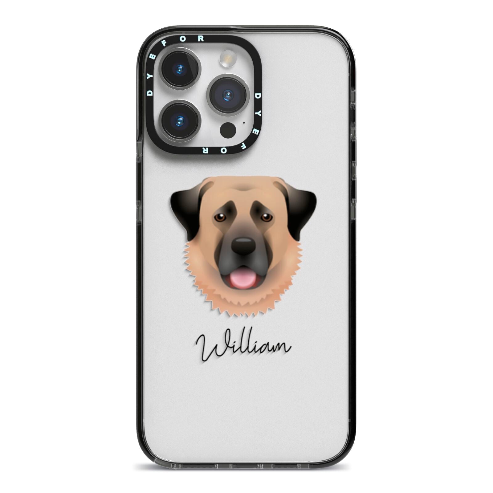 Anatolian Shepherd Dog Personalised iPhone 14 Pro Max Black Impact Case on Silver phone