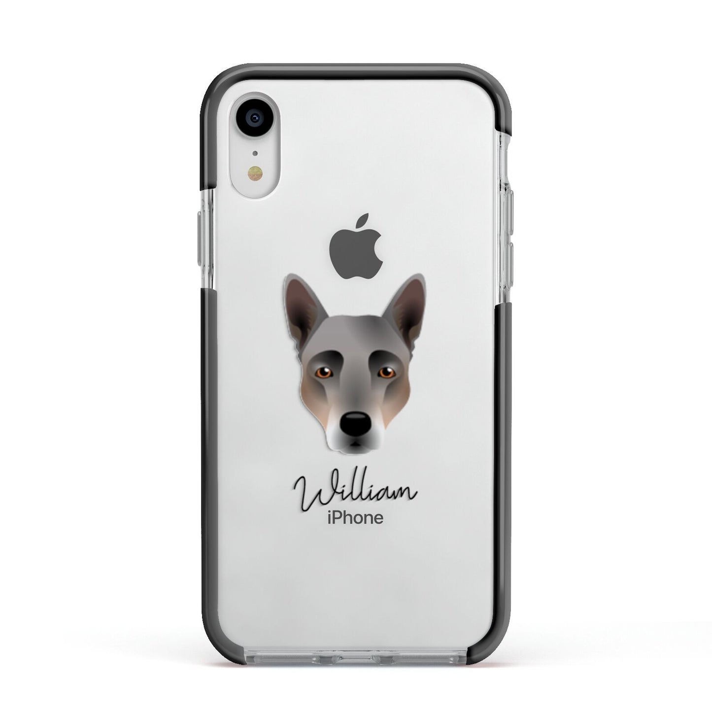 Australian Cattle Dog Personalised Apple iPhone XR Impact Case Black Edge on Silver Phone