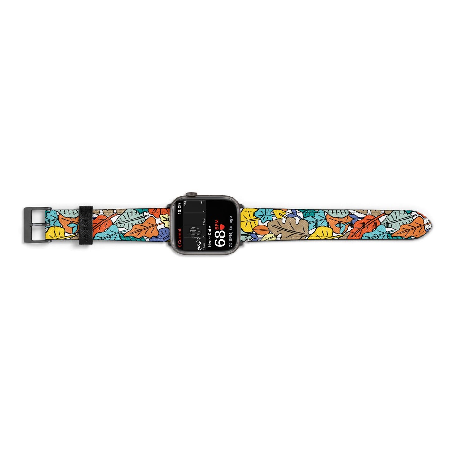 Autumn Leaves Apple Watch Strap Size 38mm Landscape Image Space Grey Hardware