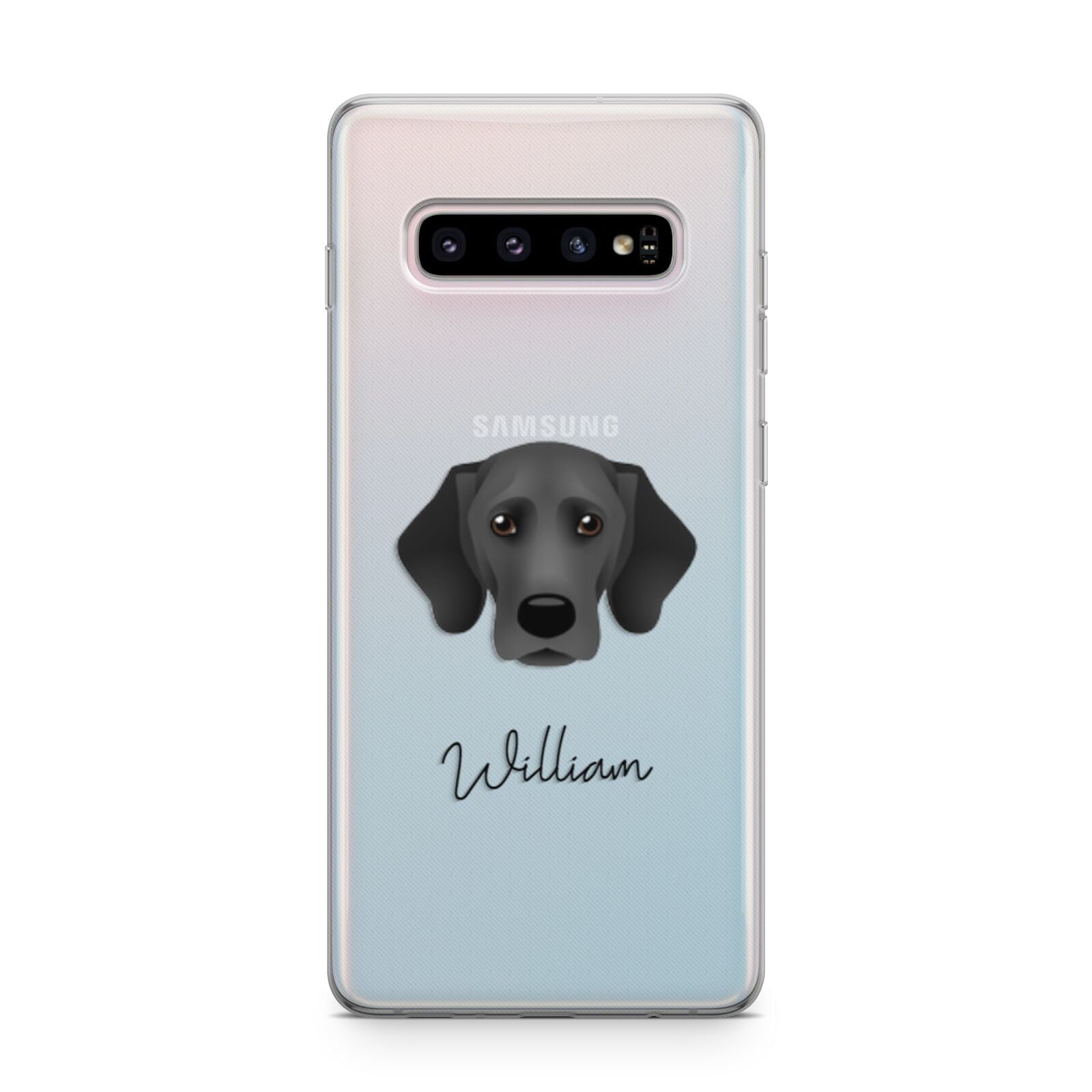 Bassador Personalised Samsung Galaxy S10 Plus Case