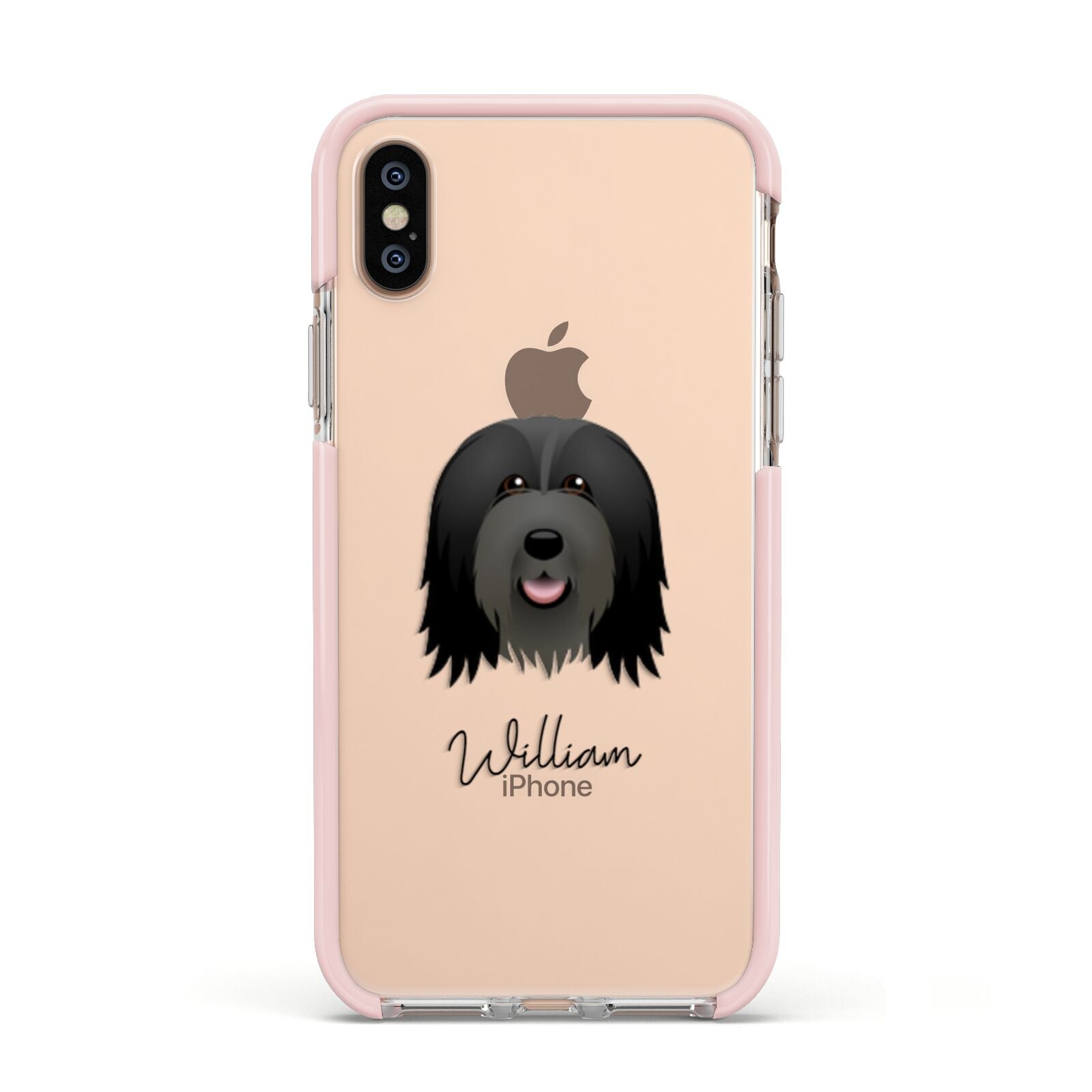 Bearded Collie Personalised Apple iPhone Xs Impact Case Pink Edge on Gold Phone