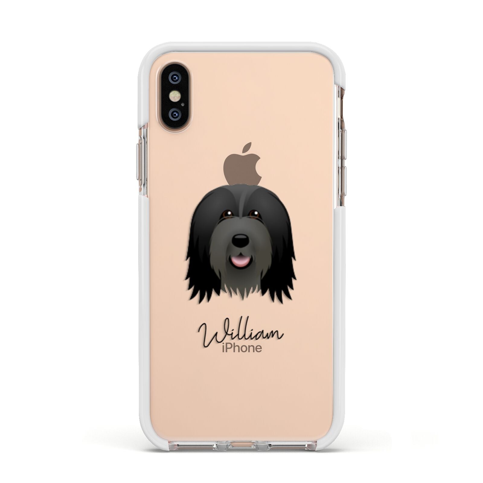 Bearded Collie Personalised Apple iPhone Xs Impact Case White Edge on Gold Phone