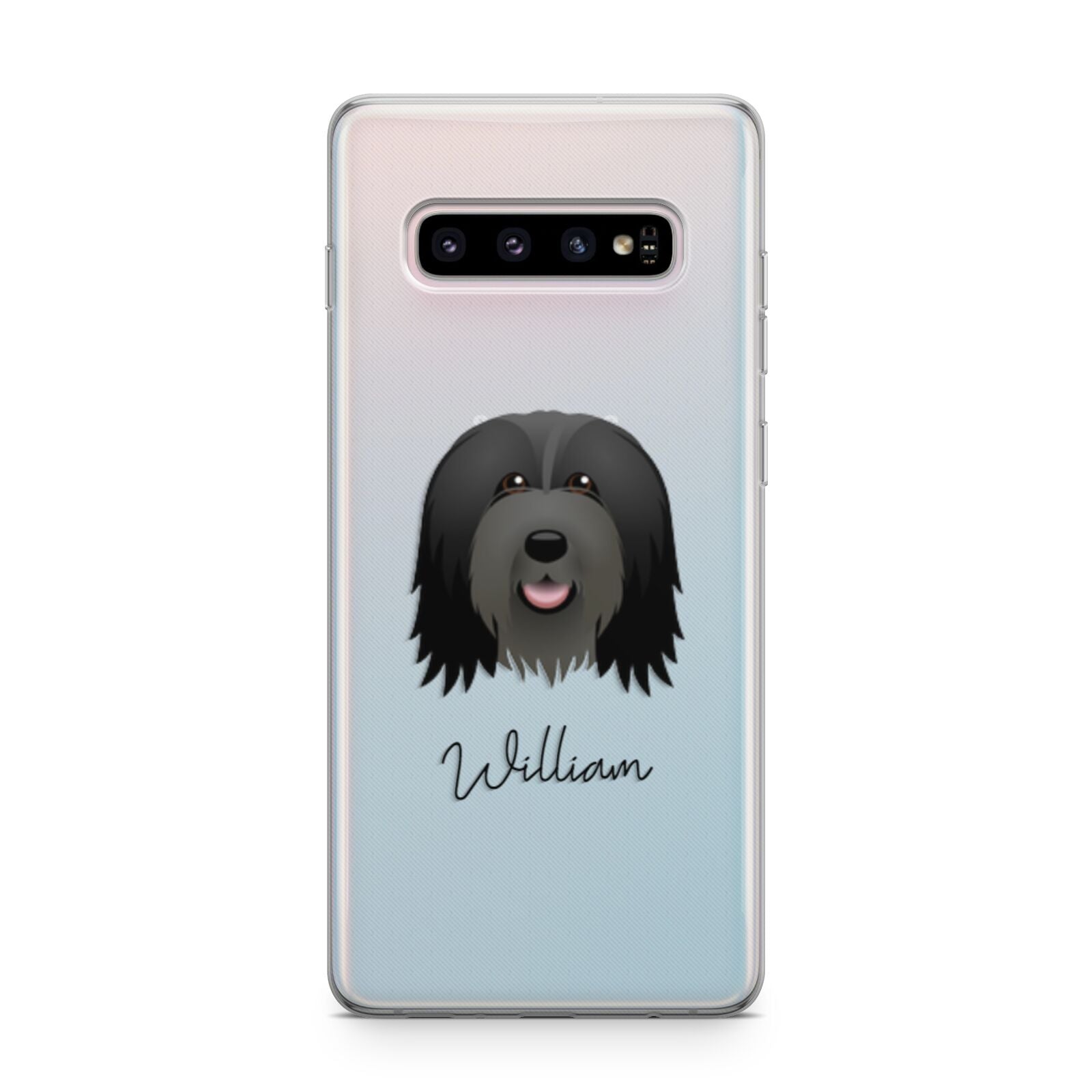 Bearded Collie Personalised Samsung Galaxy S10 Plus Case