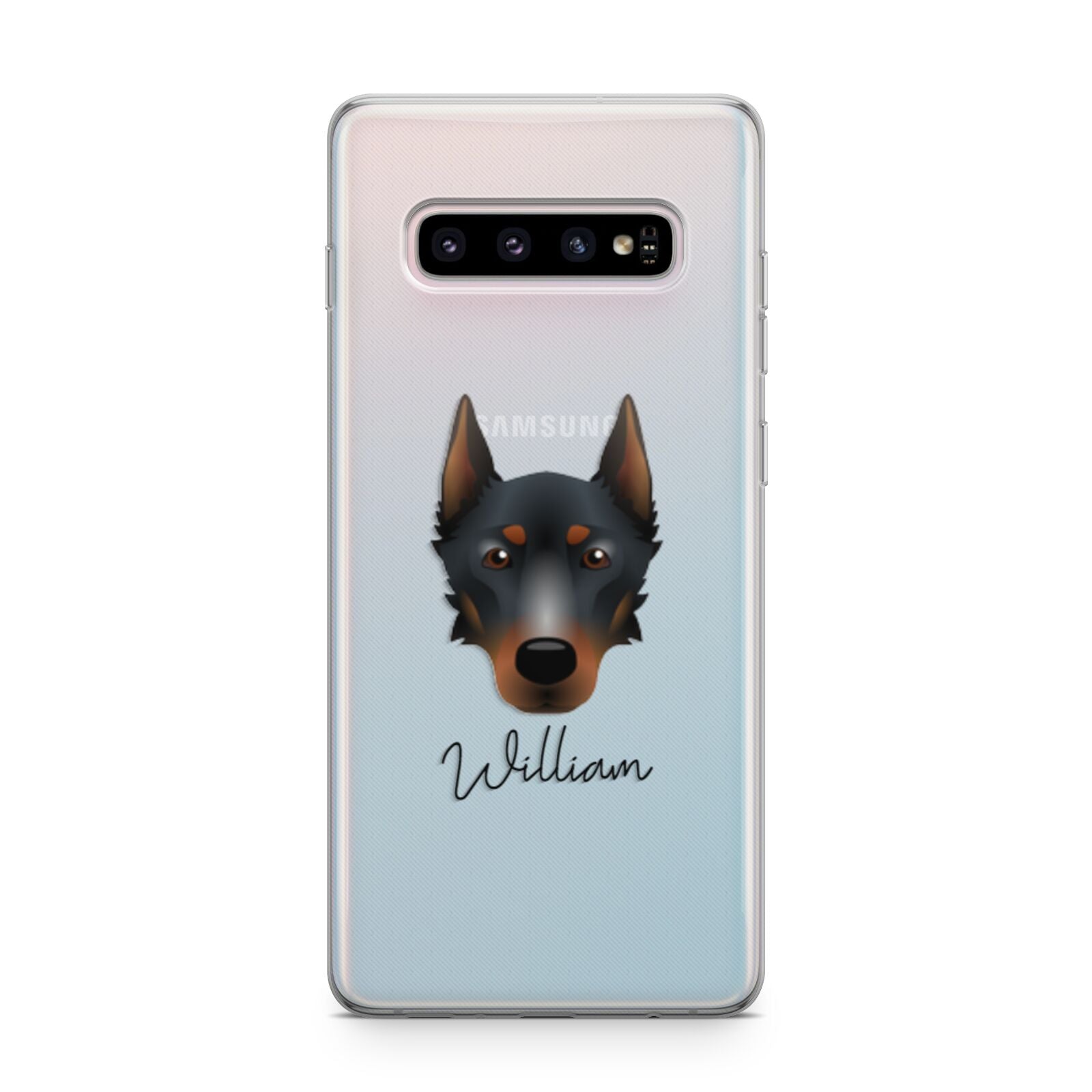 Beauceron Personalised Samsung Galaxy S10 Plus Case