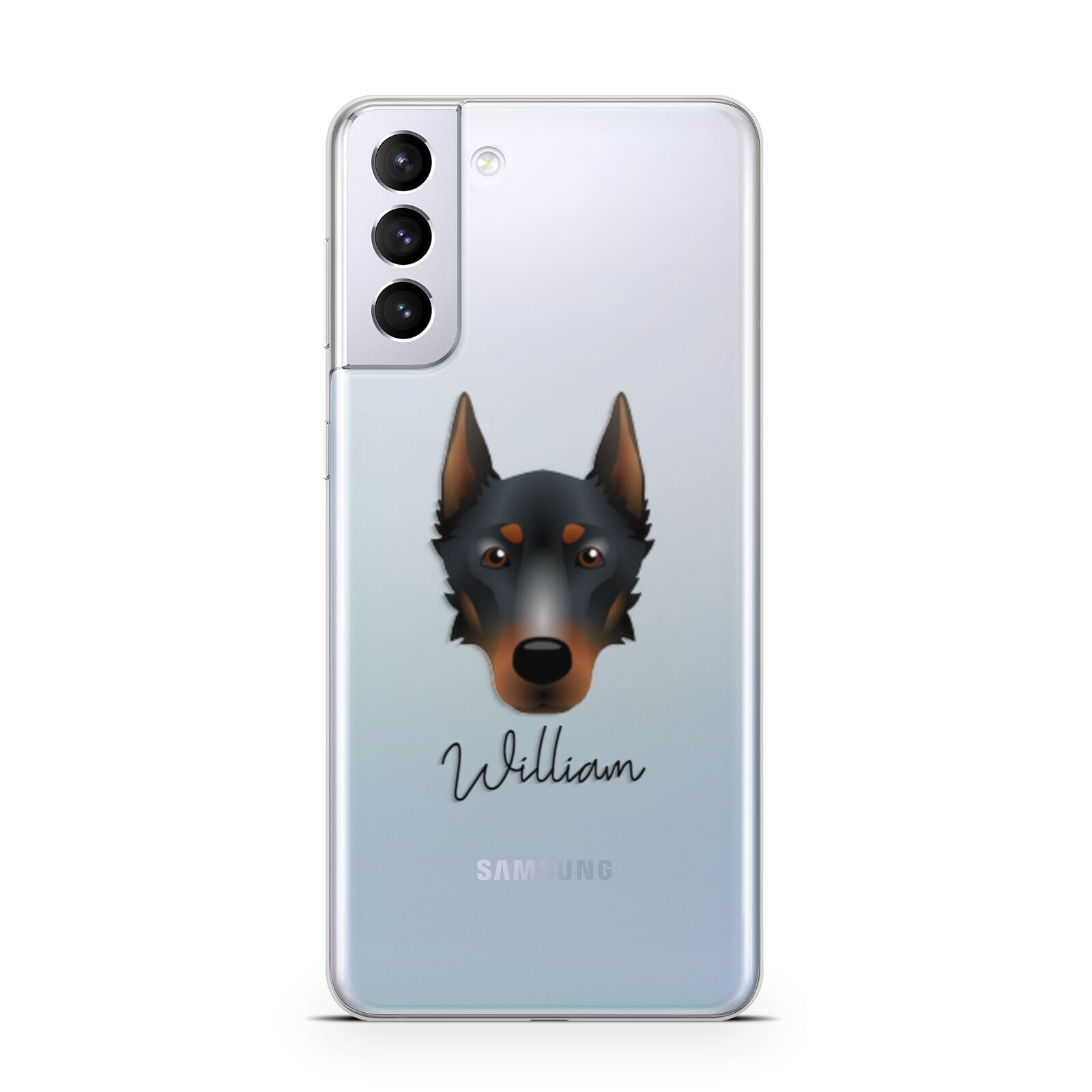 Beauceron Personalised Samsung S21 Plus Phone Case