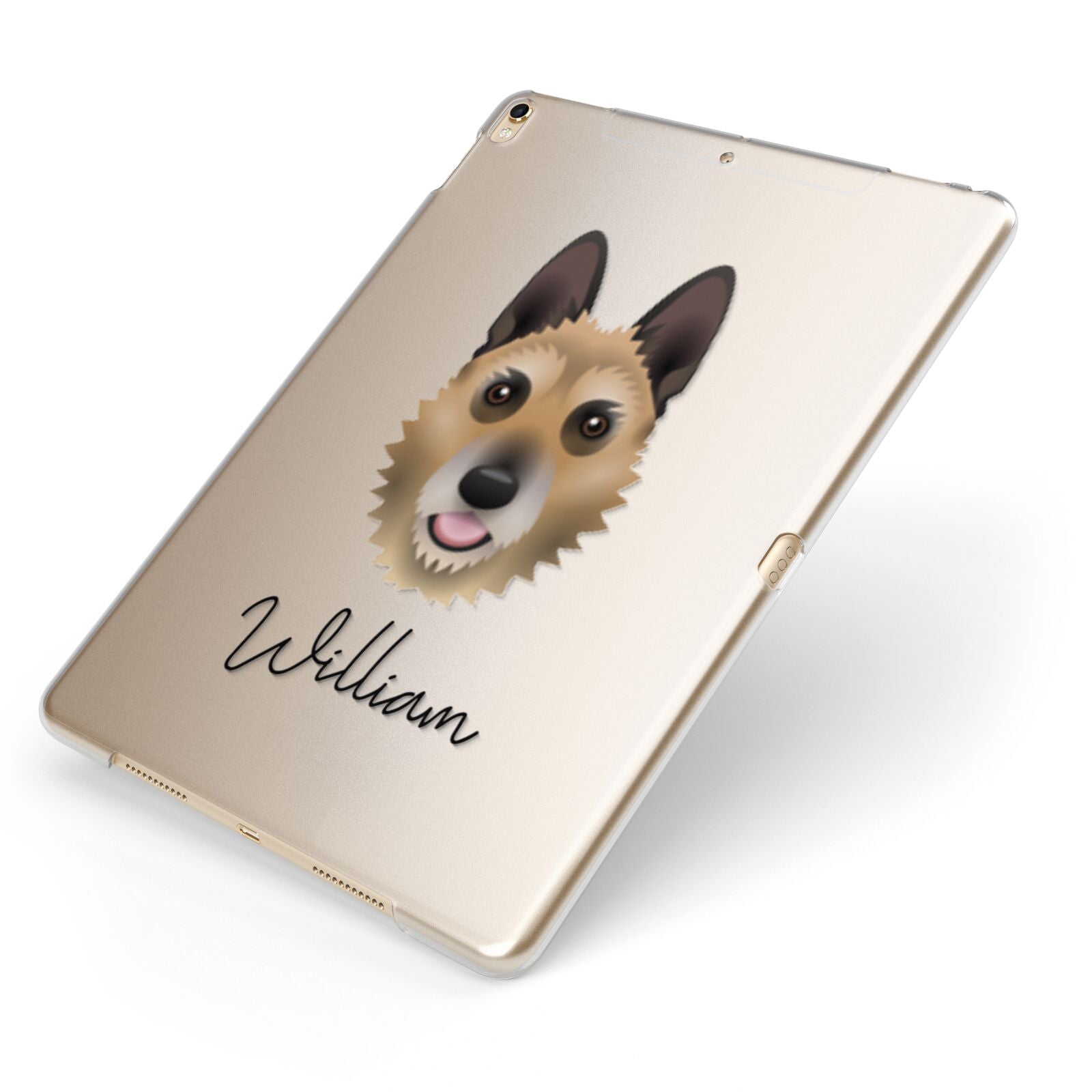 Belgian Laekenois Personalised Apple iPad Case on Gold iPad Side View