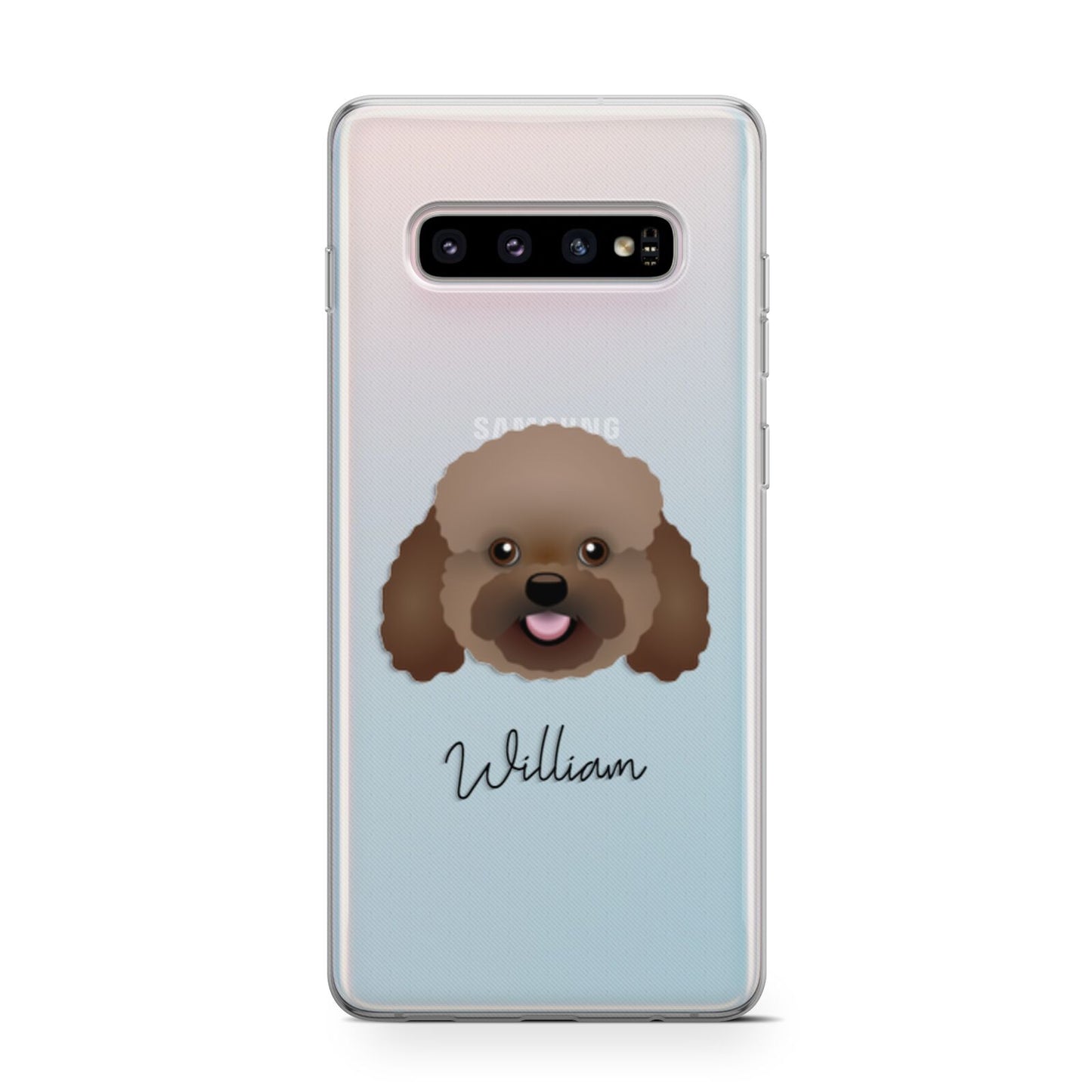 Bich poo Personalised Samsung Galaxy S10 Case