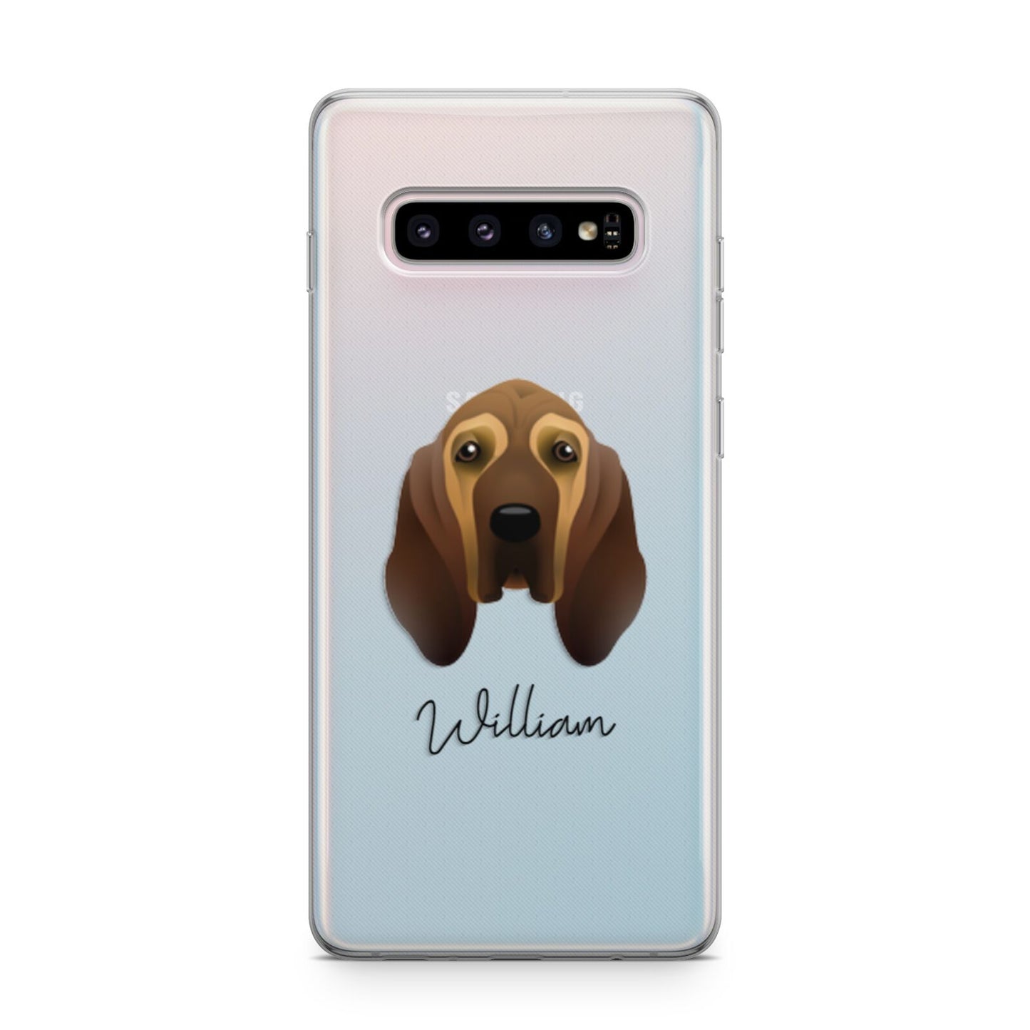 Bloodhound Personalised Samsung Galaxy S10 Plus Case