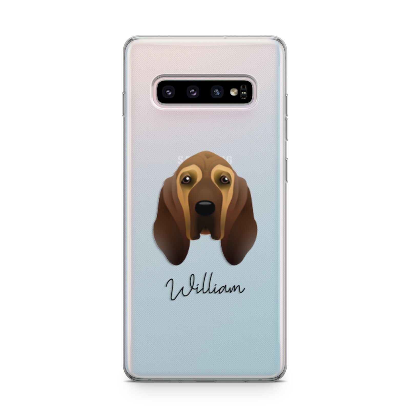 Bloodhound Personalised Samsung Galaxy S10 Plus Case