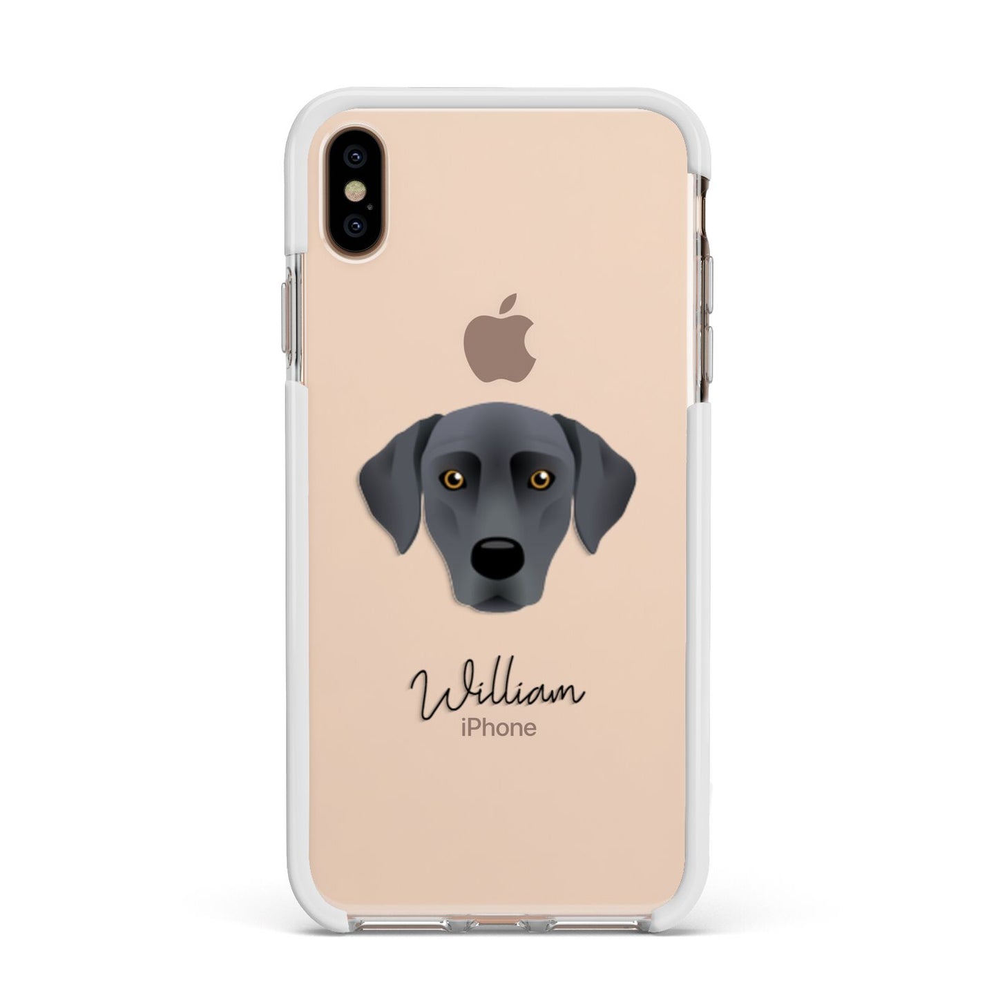 Blue Lacy Personalised Apple iPhone Xs Max Impact Case White Edge on Gold Phone