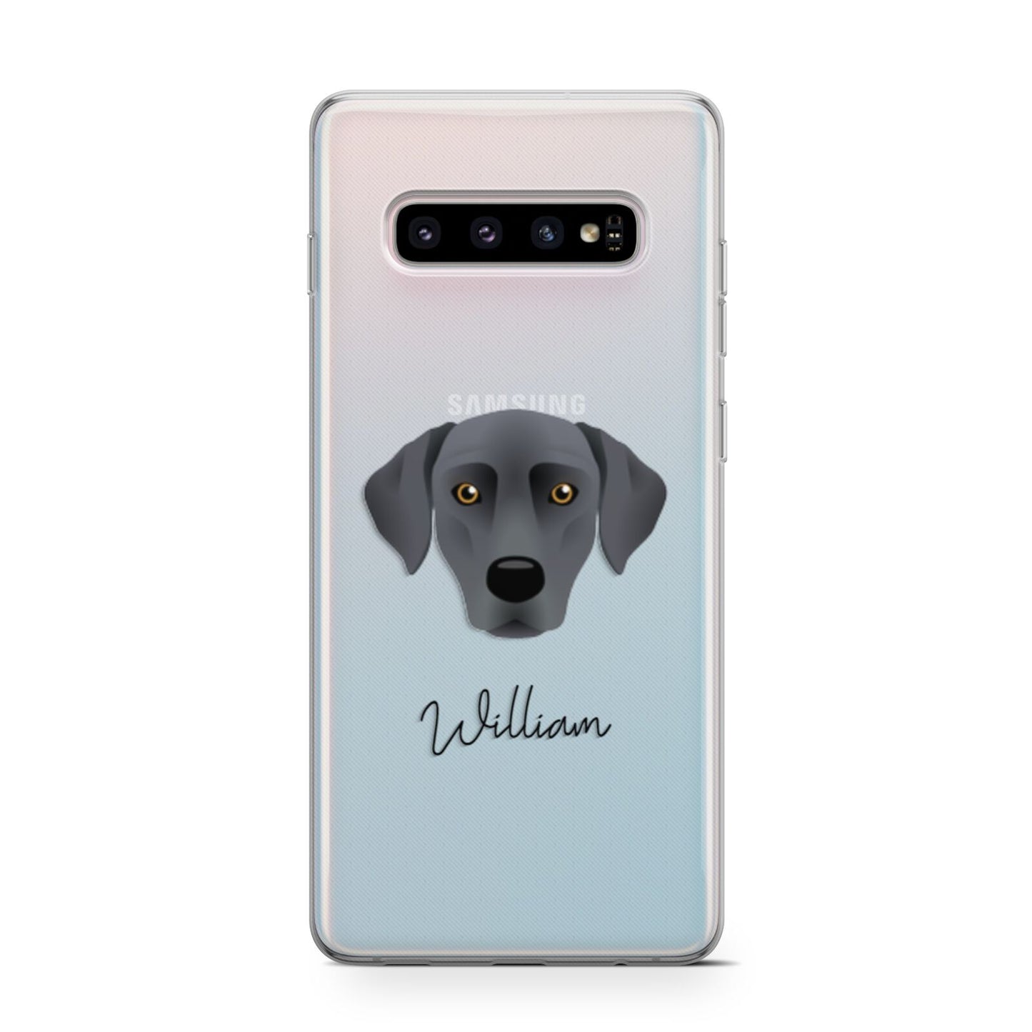 Blue Lacy Personalised Samsung Galaxy S10 Case