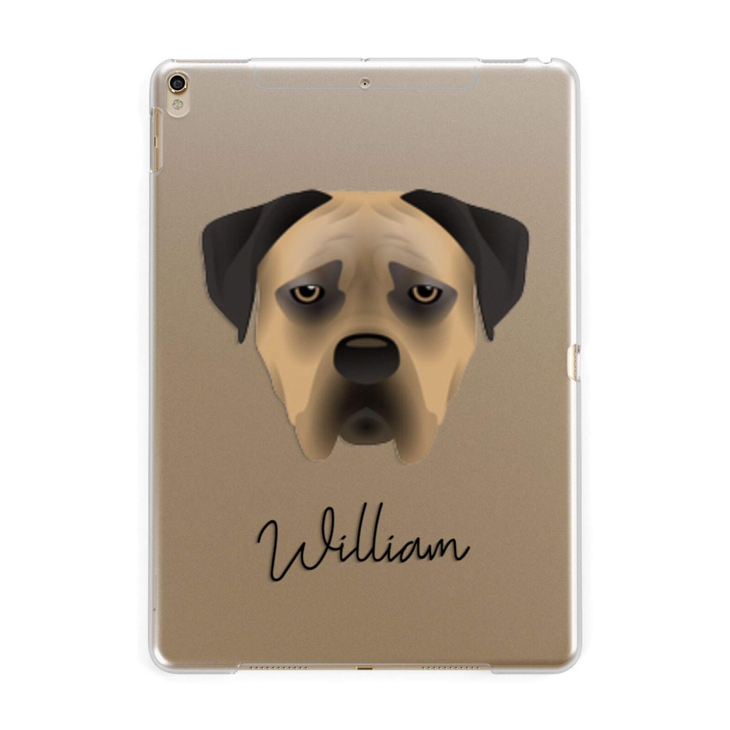 Boerboel Personalised Apple iPad Gold Case